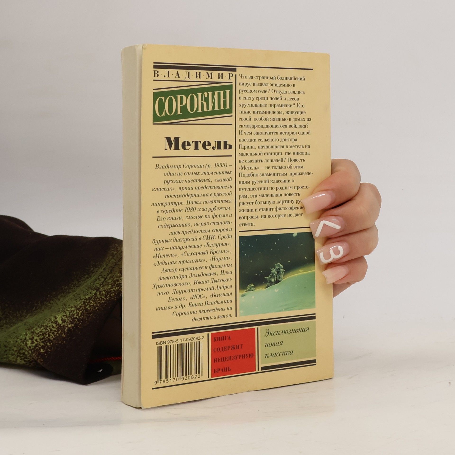 Wladimir Georgijewitsch Sorokin Эксклюзивная новая классика: Метель