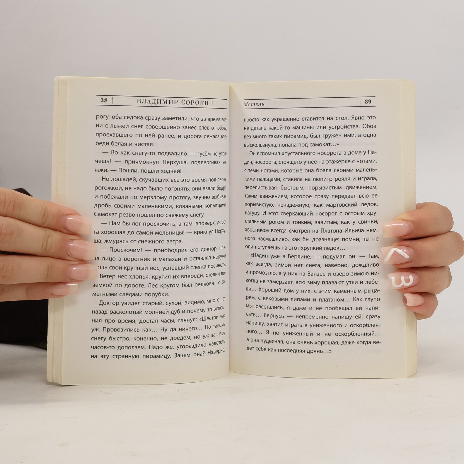 Wladimir Georgijewitsch Sorokin Эксклюзивная новая классика: Метель