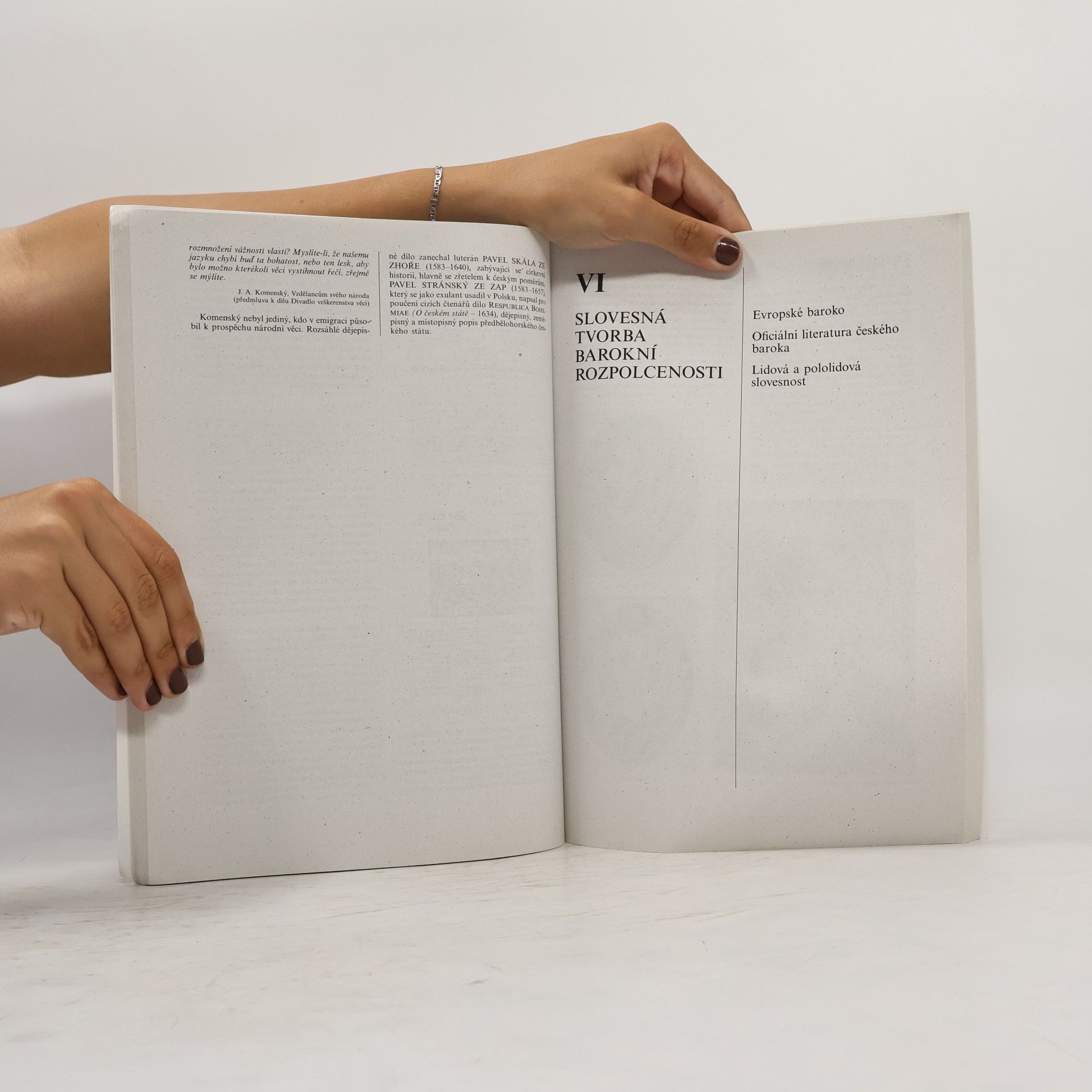 Bohuš Balajka Přehledné dějiny literatury I.