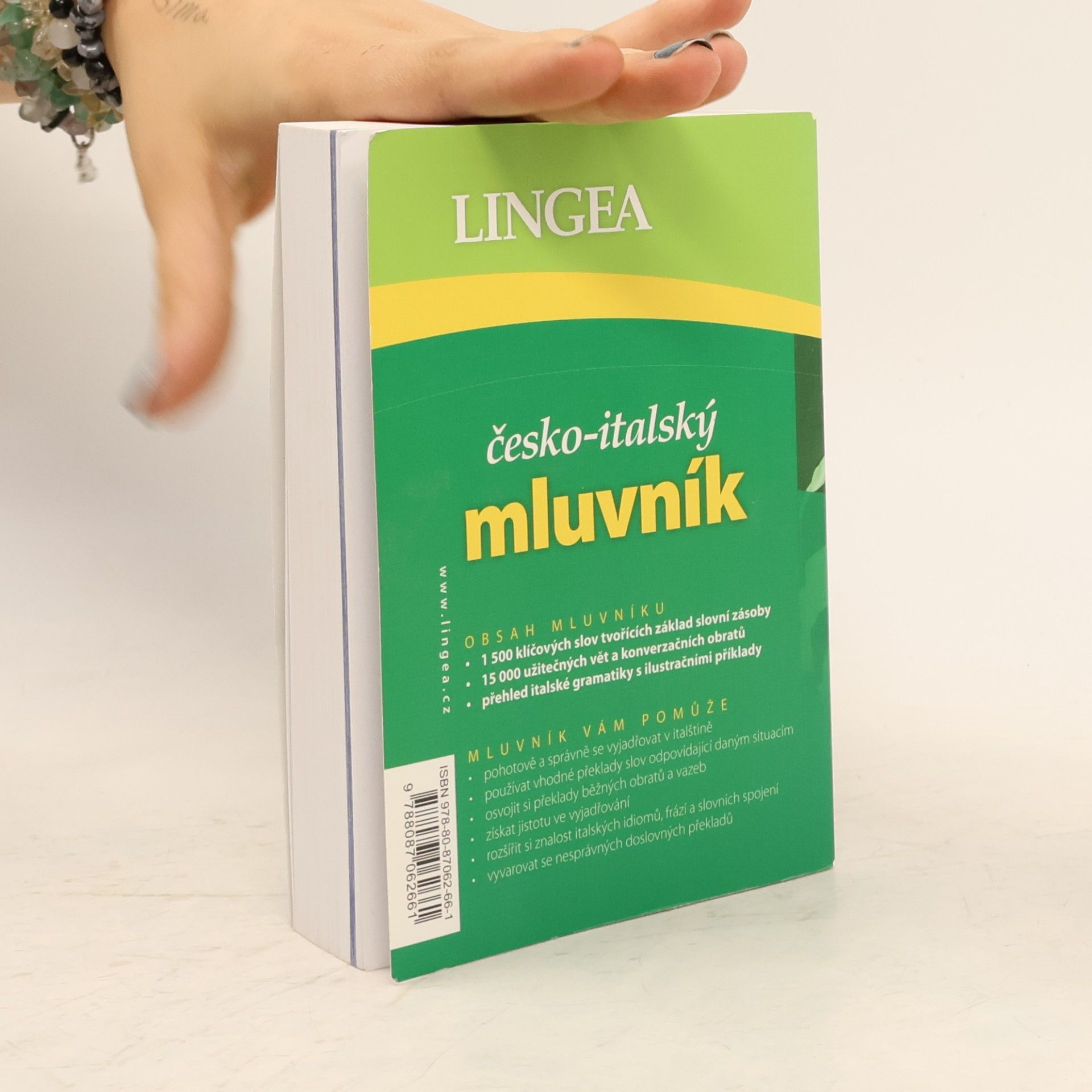Autorenkollektiv Česko-italský mluvník
