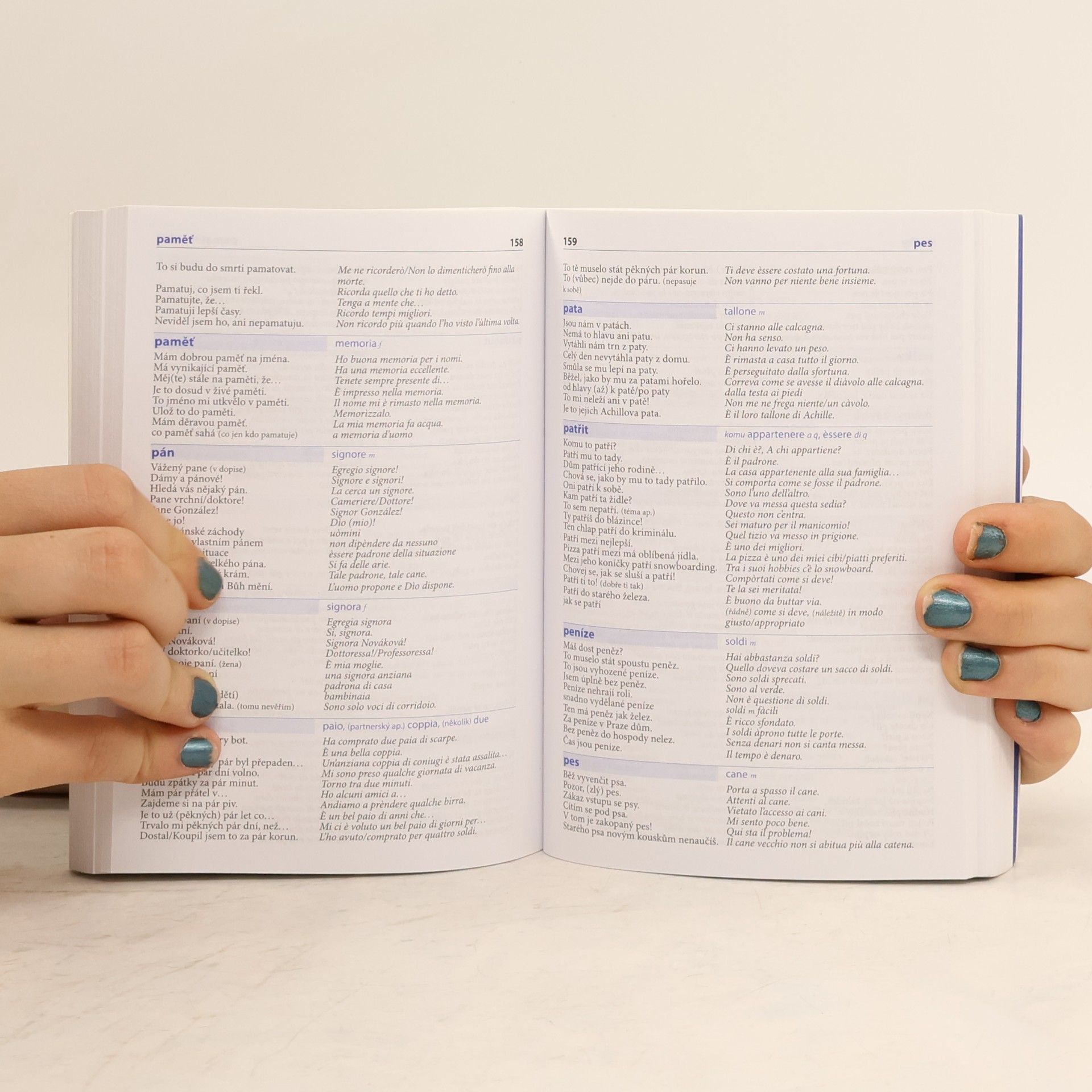 Autorenkollektiv Česko-italský mluvník