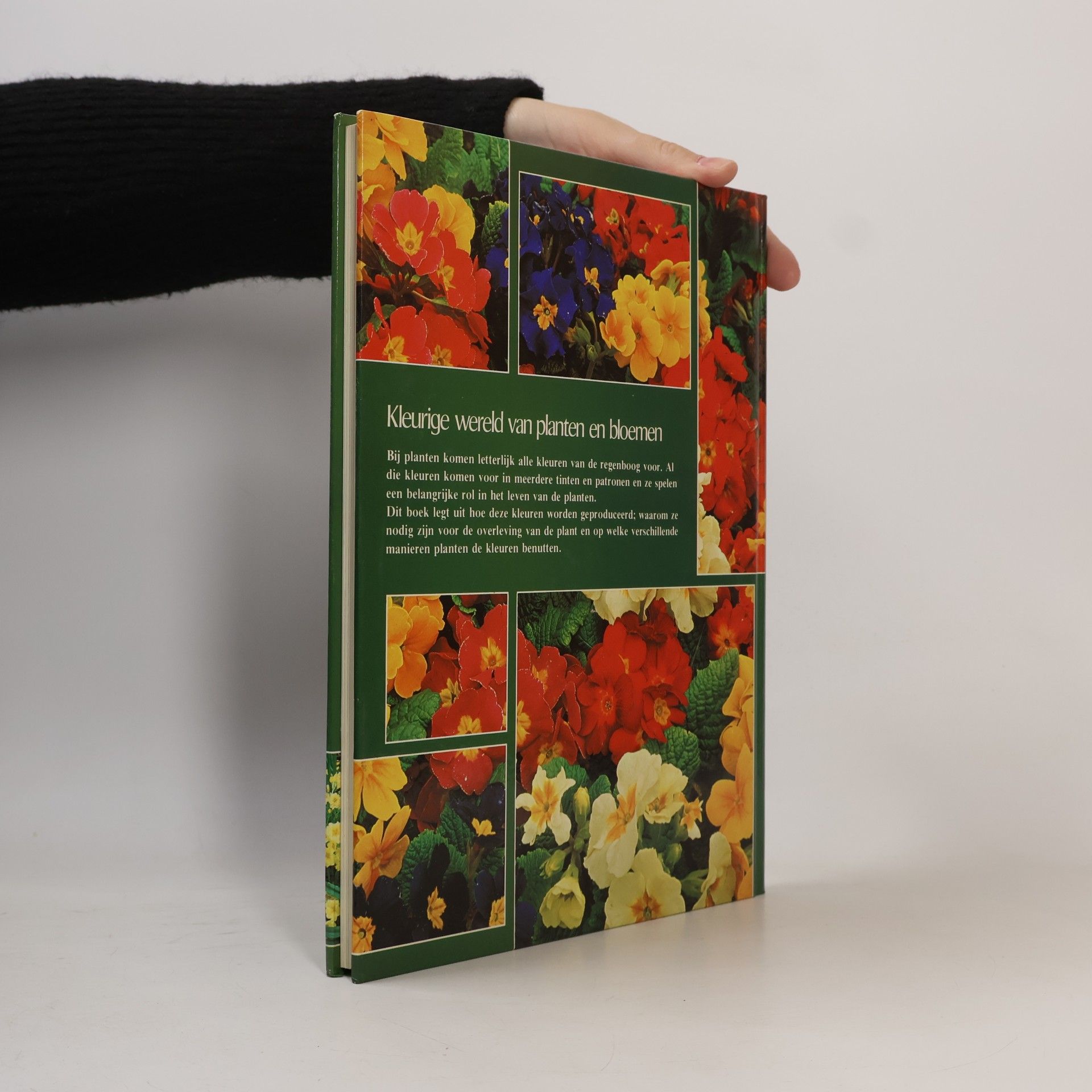 John Proctor Kleurige wereld van planten en bloemen