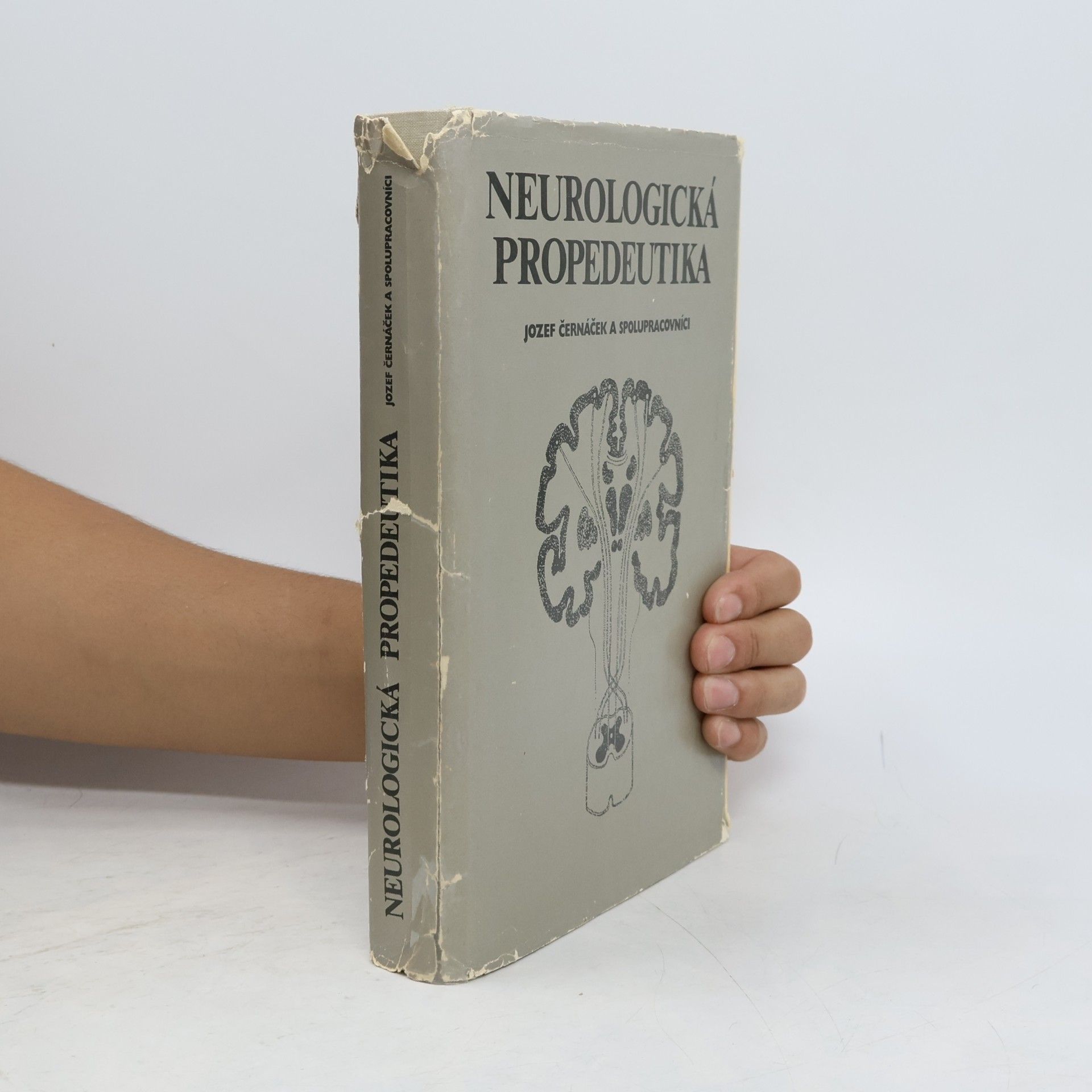 Jozef Černáček Neurologická propedeutika