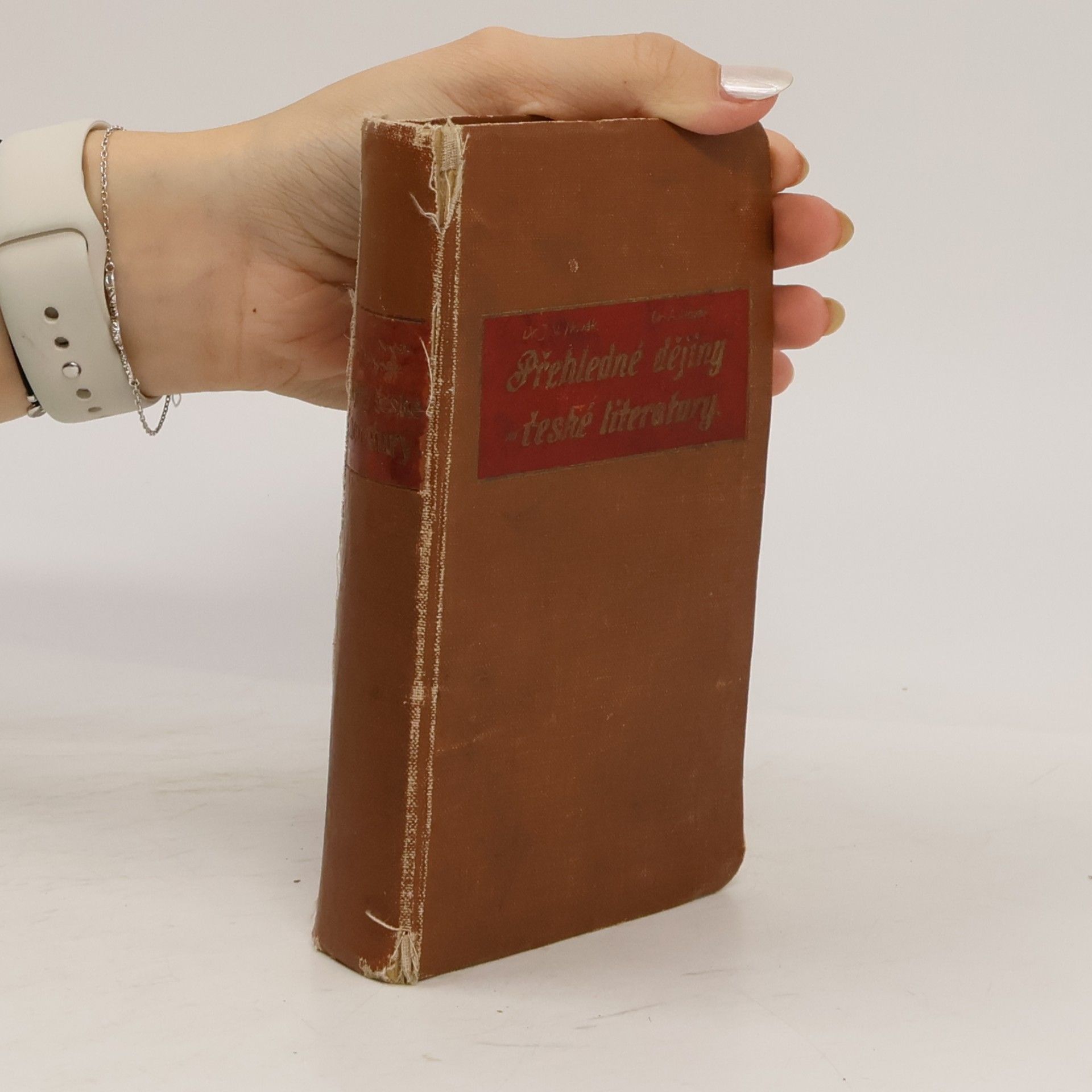 kolektiv Přehledné dějiny české literatury