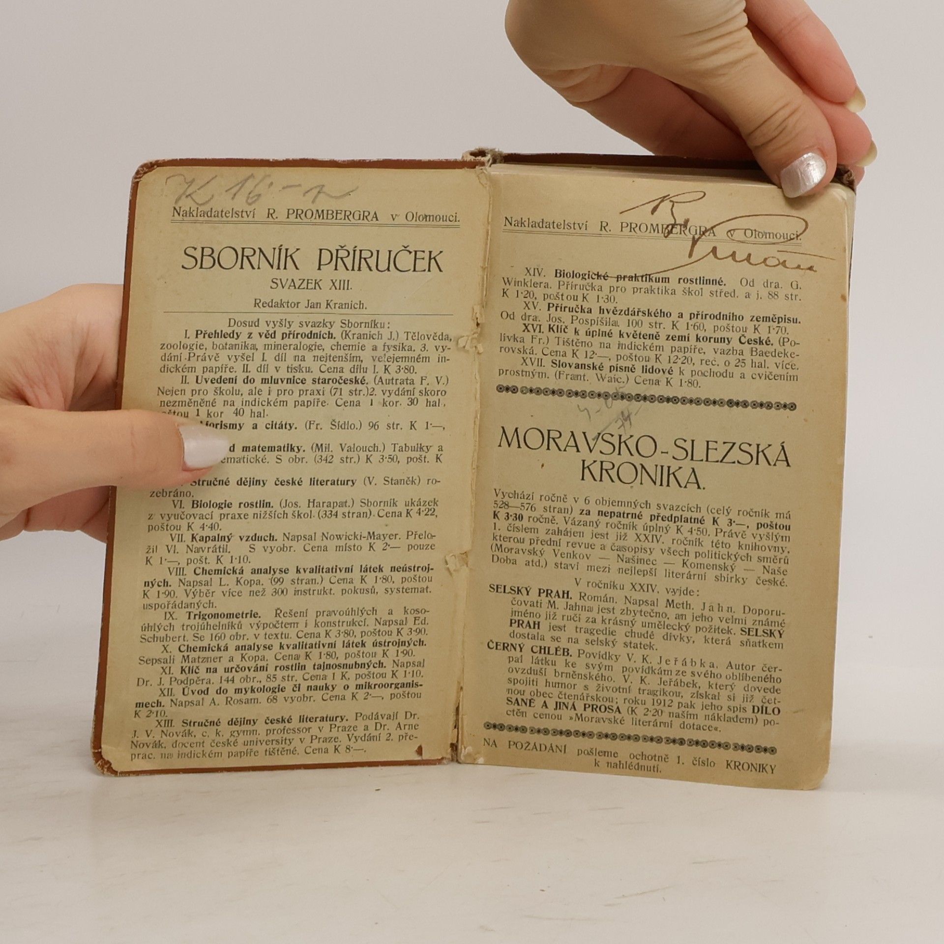 kolektiv Přehledné dějiny české literatury