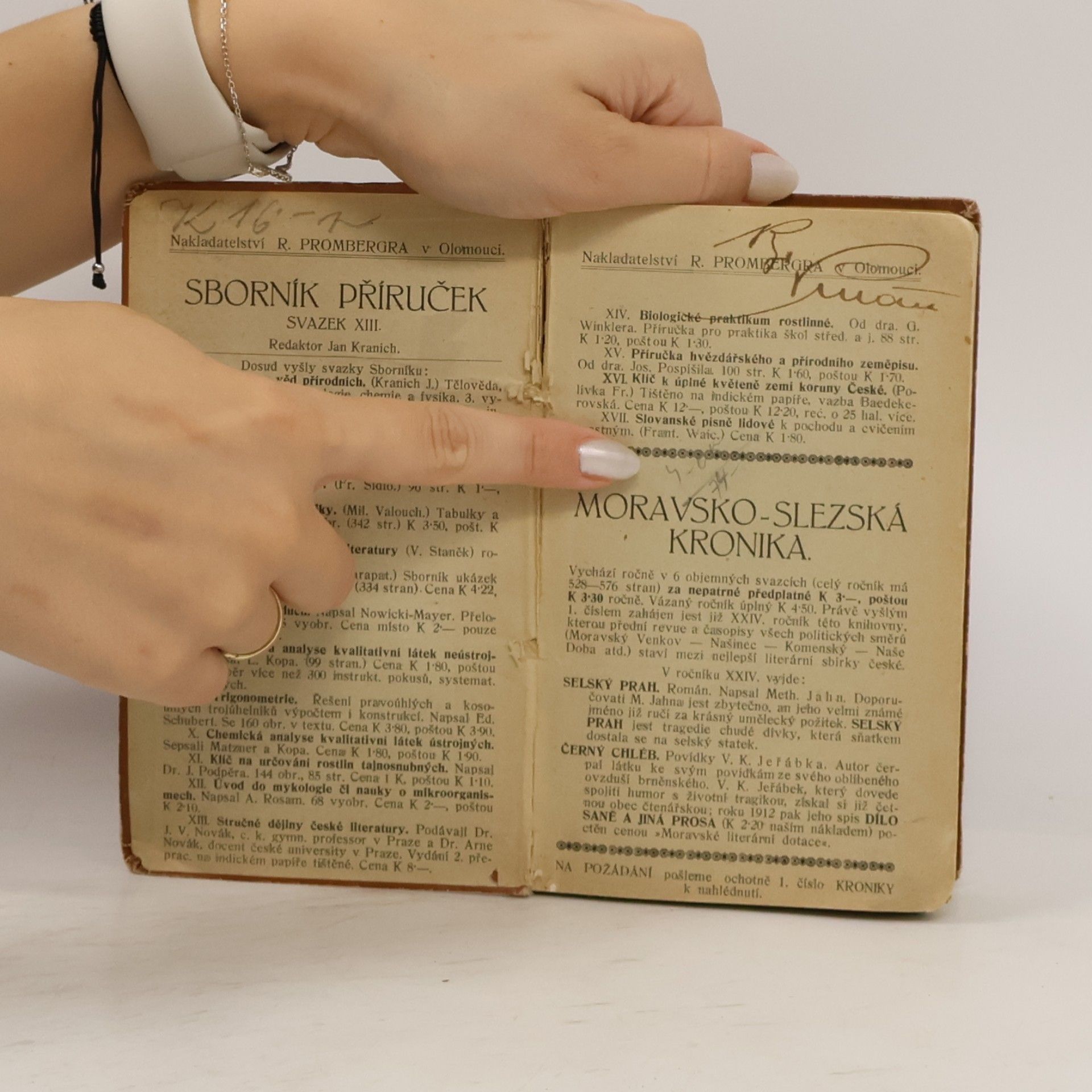 kolektiv Přehledné dějiny české literatury