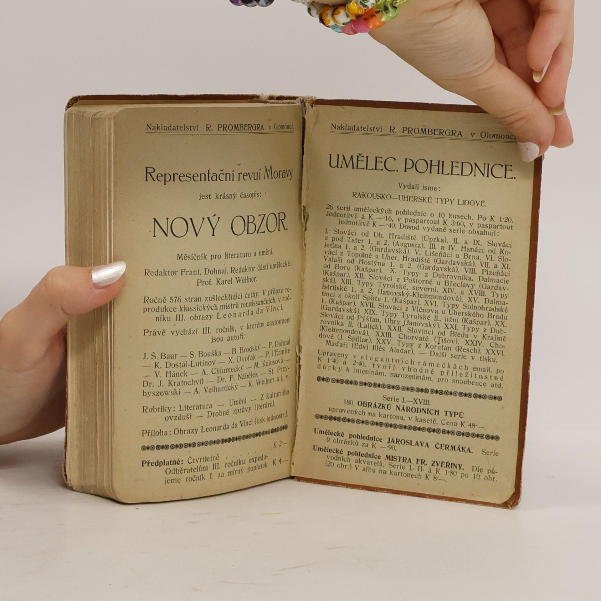 kolektiv Přehledné dějiny české literatury