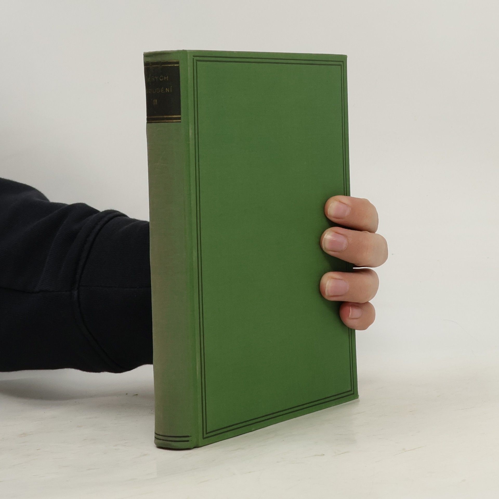 Bloudění. Větší valdštejnská trilogie 3