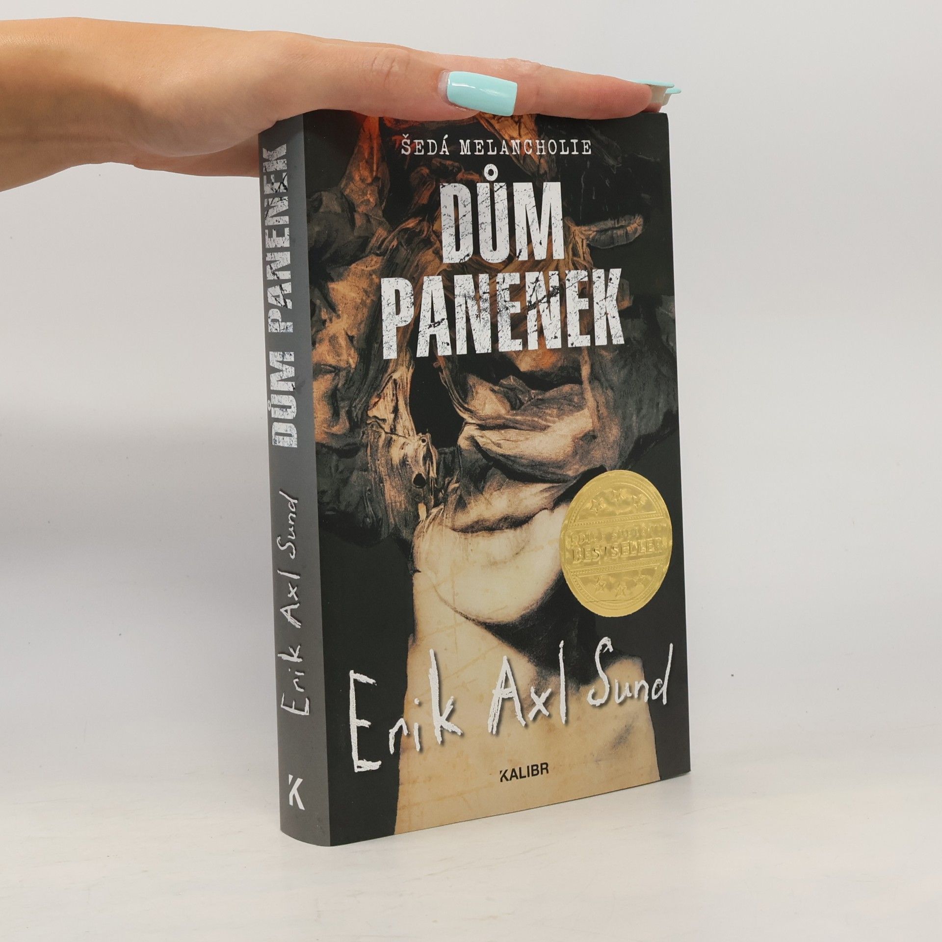 Erik Axl Sund Dům panenek