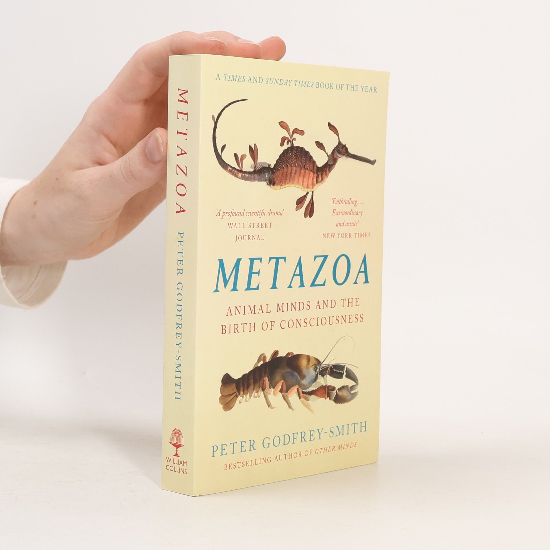 Peter Godfrey-Smith Metazoa