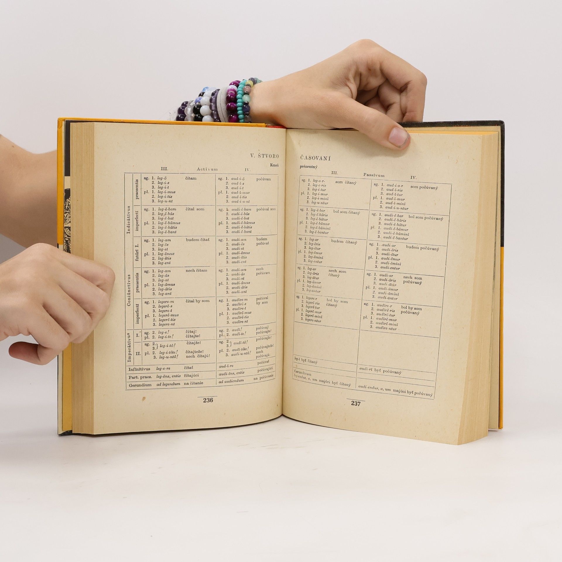 Various authors Latinčina. Lingua Latina