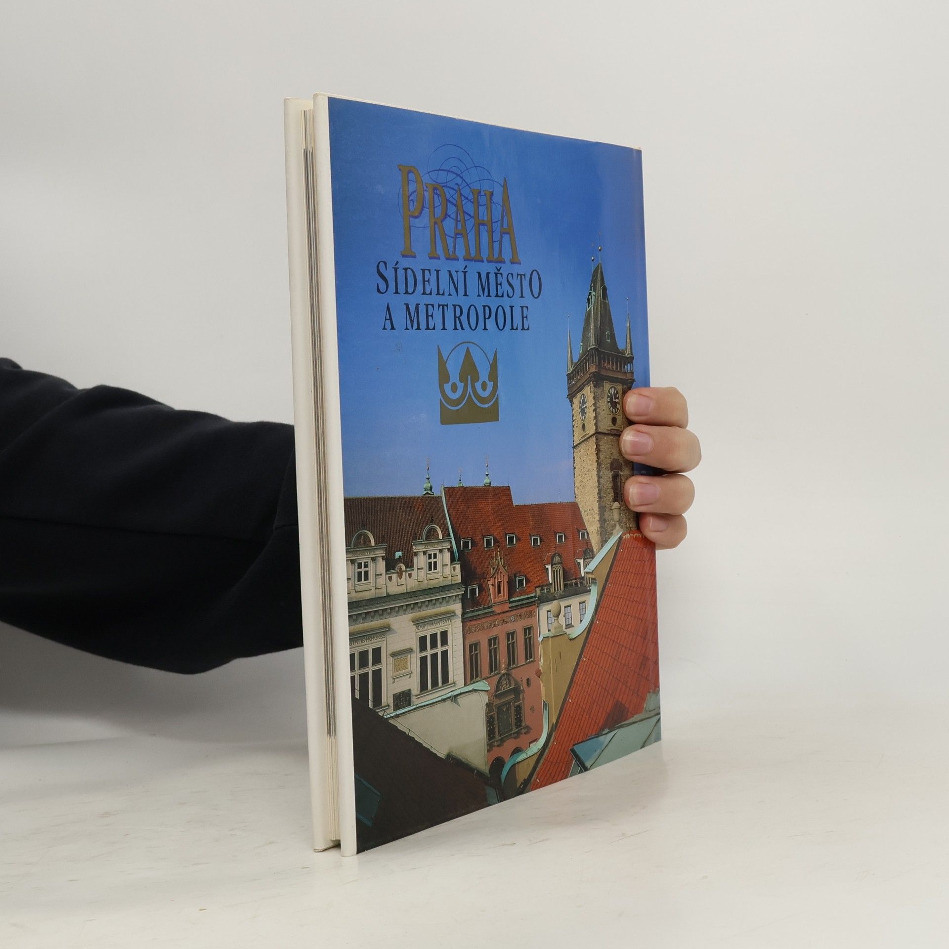 Petr Čornej Praha sídelní město a metropole