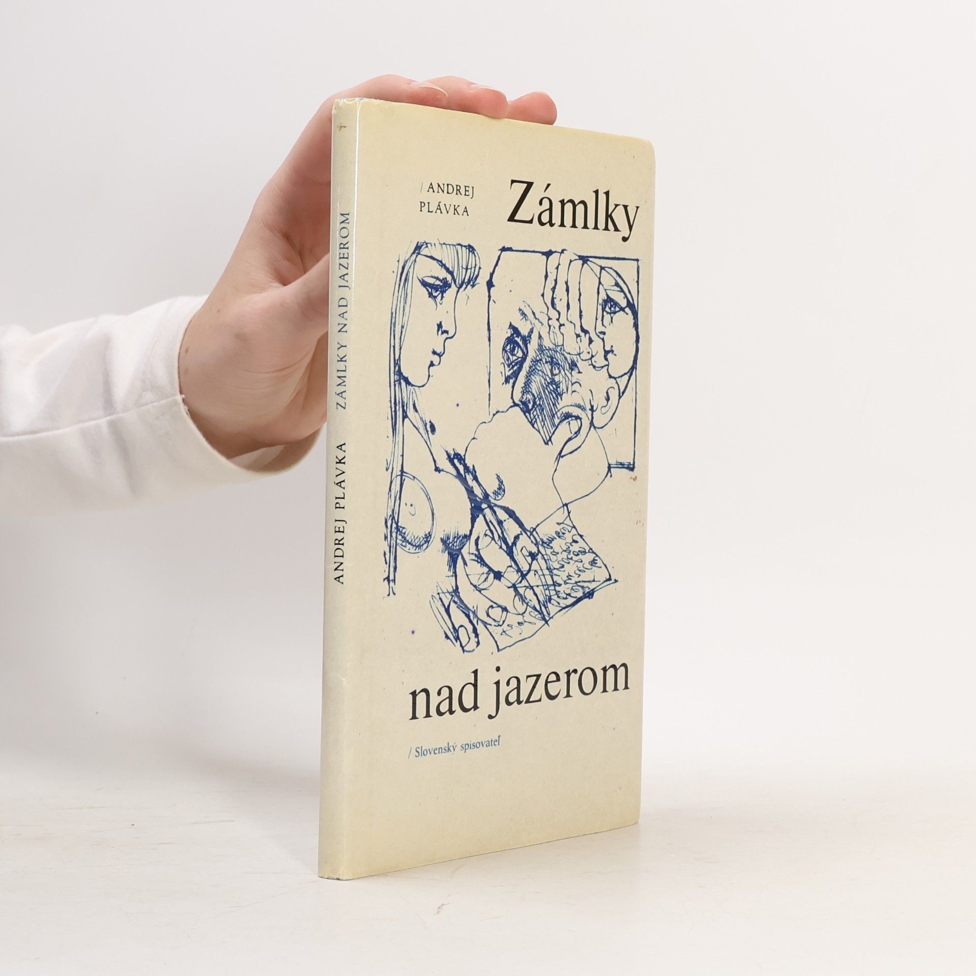 Andrej Plávka Zámlky nad jazerom
