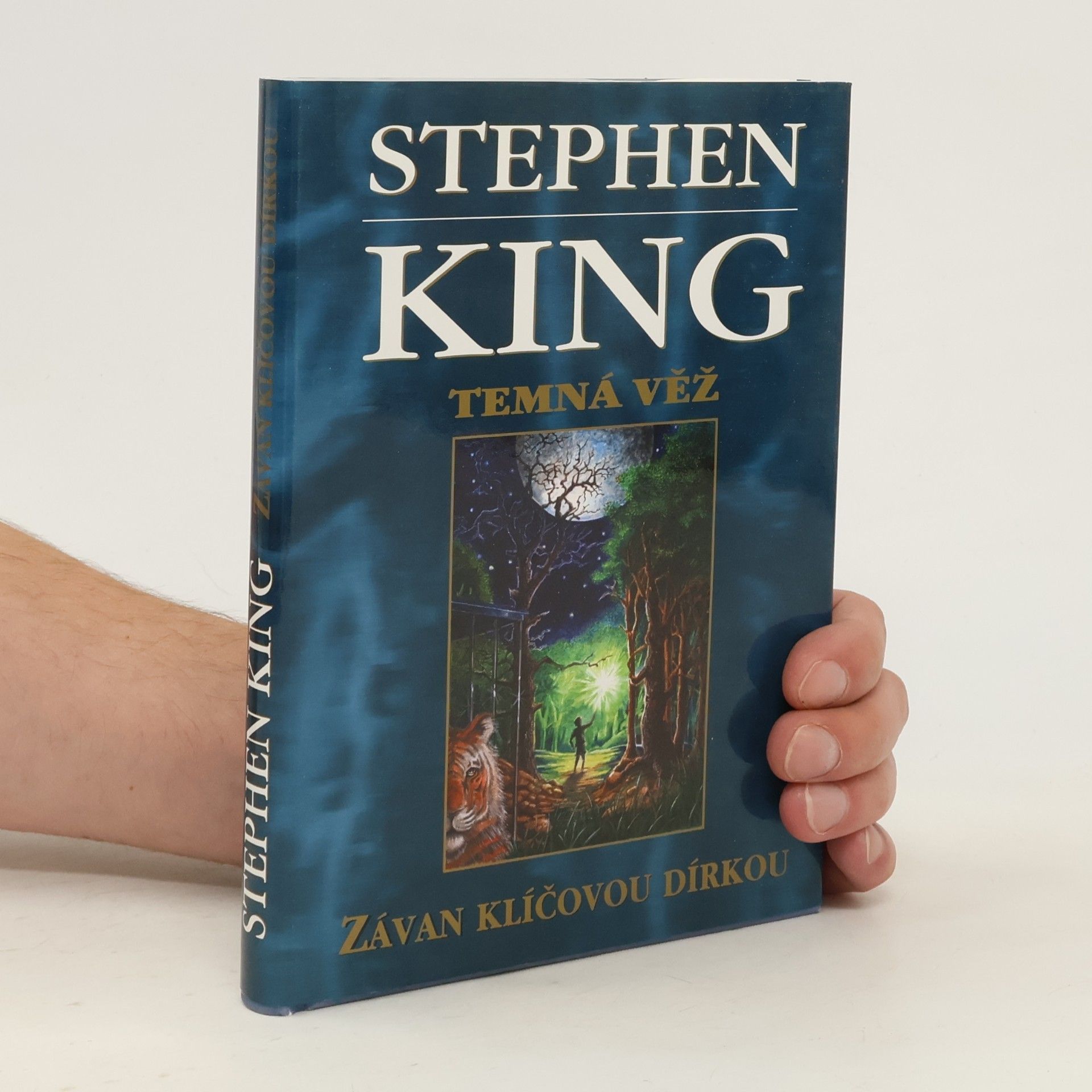 Stephen King Temná věž: Závan klíčovou dírkou
