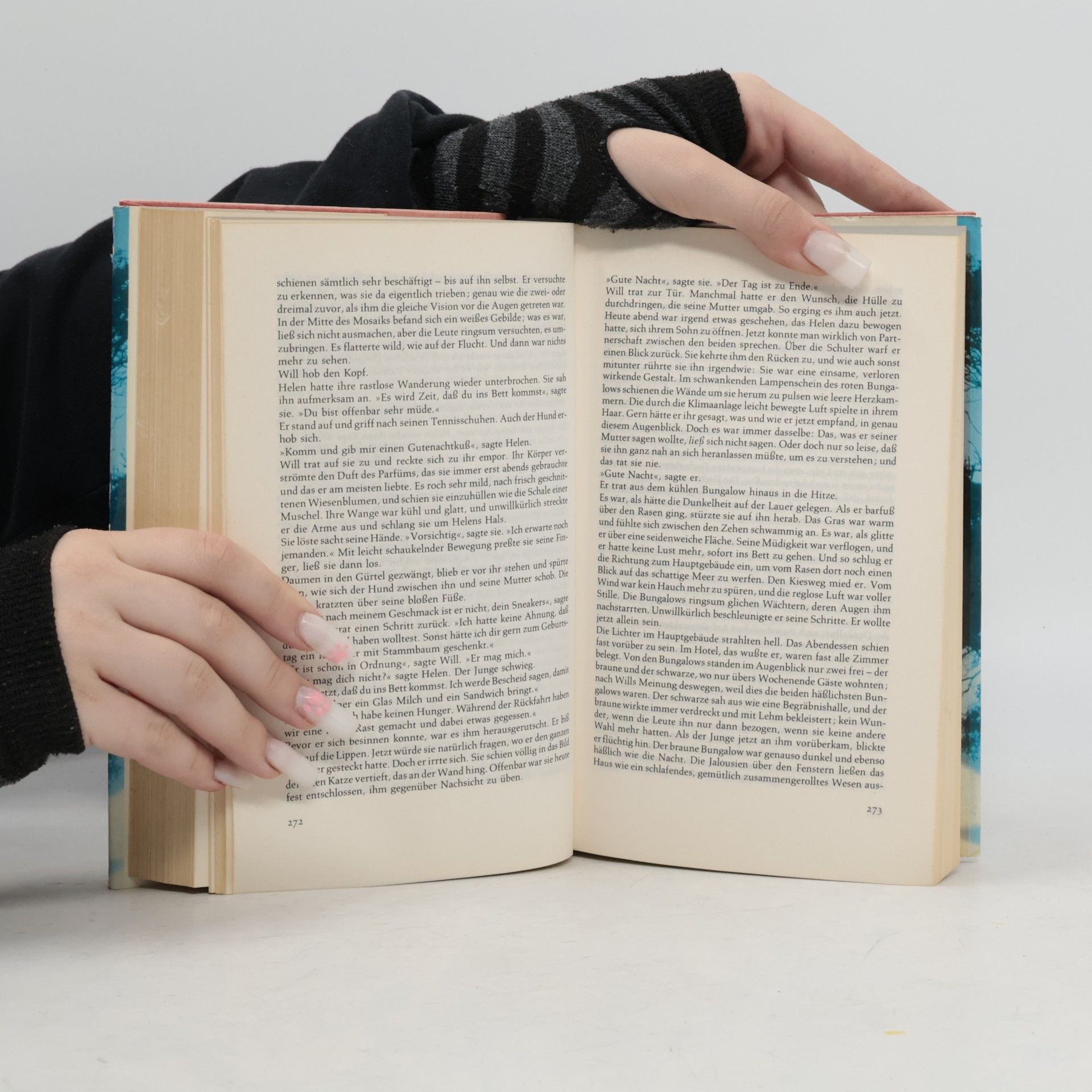 Peter S. Feibleman Unter dem Kolumbusbaum