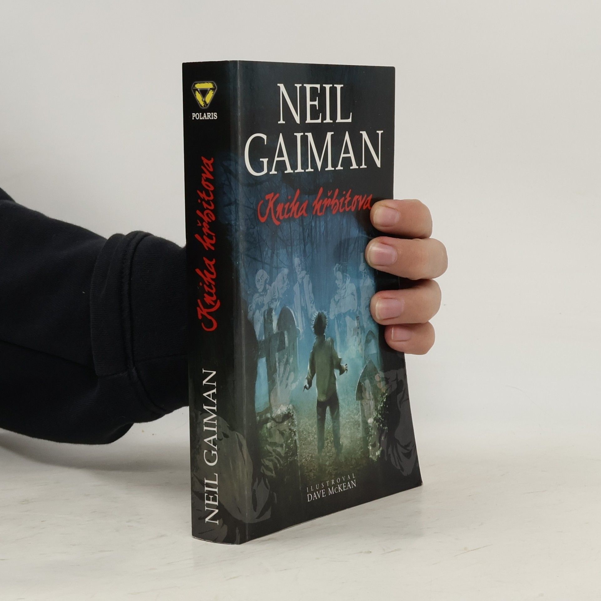 Neil Gaiman Kniha hřbitova