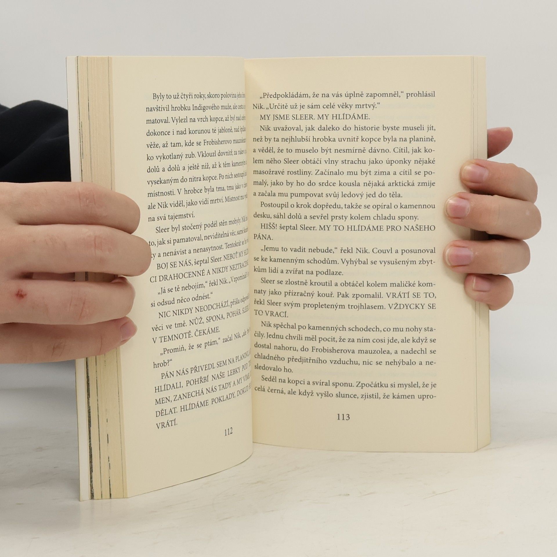 Neil Gaiman Kniha hřbitova