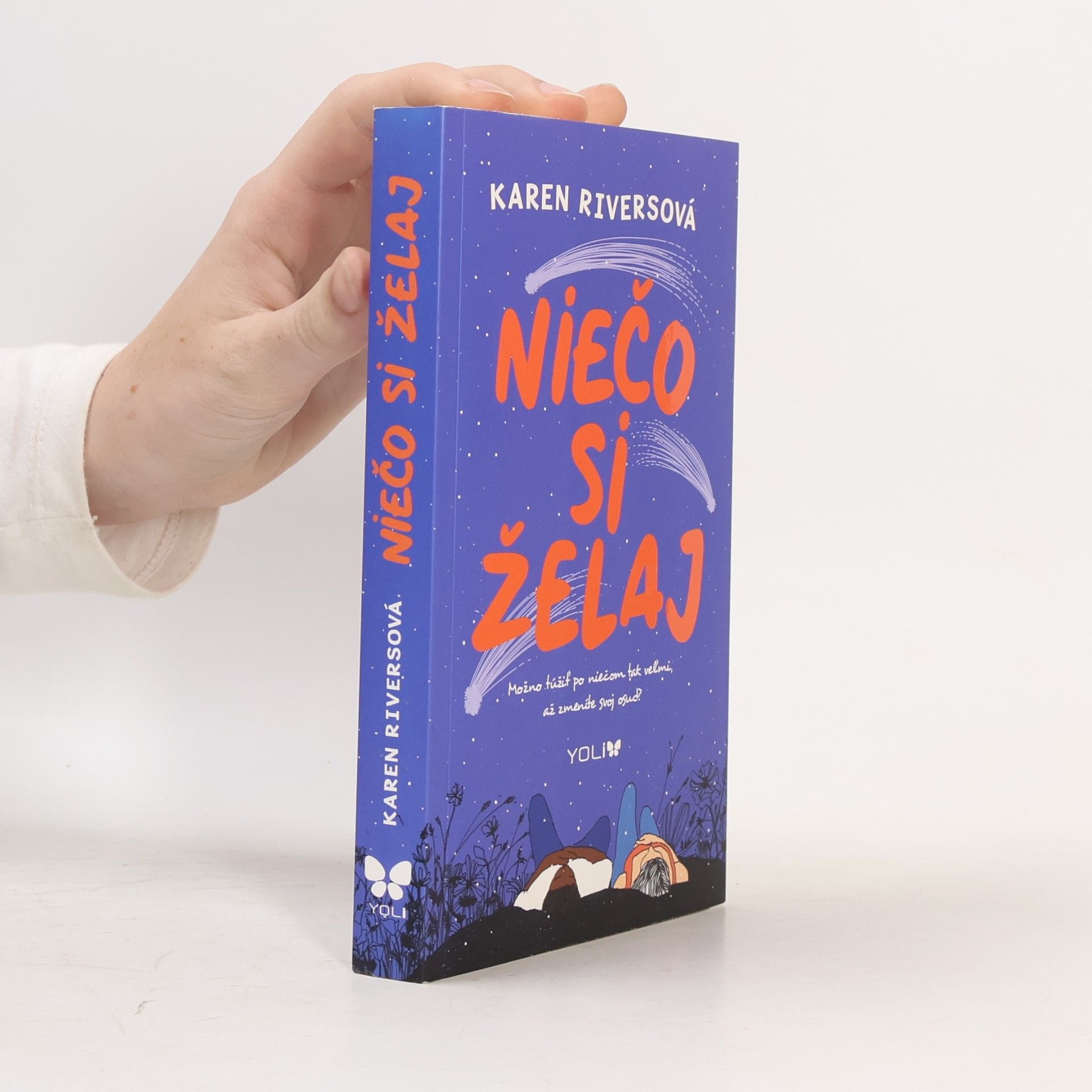 Karen Rivers Niečo si želaj