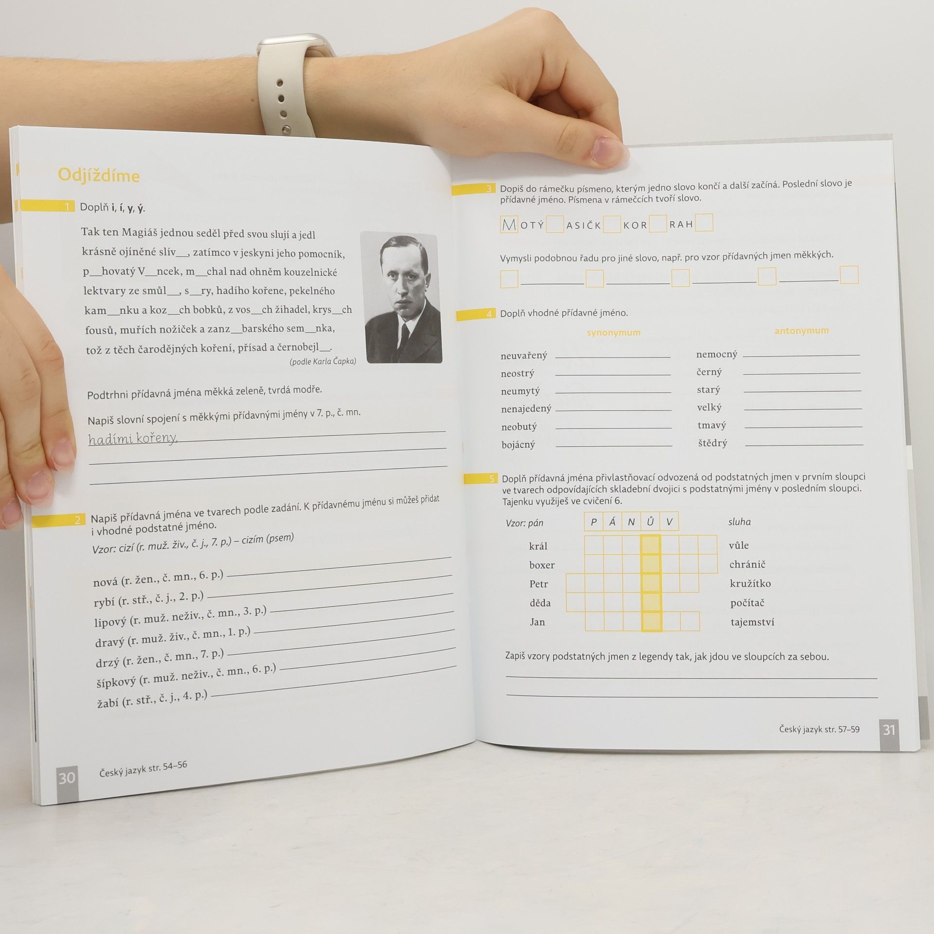 Collectif d'auteurs Český jazyk pro 5. ročník základní školy: Pracovní sešit 1. díl