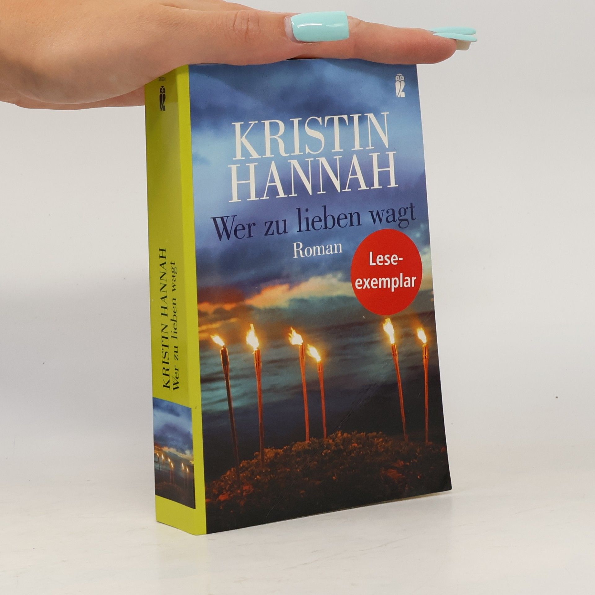 Kristin Hannah Wer zu lieben wagt