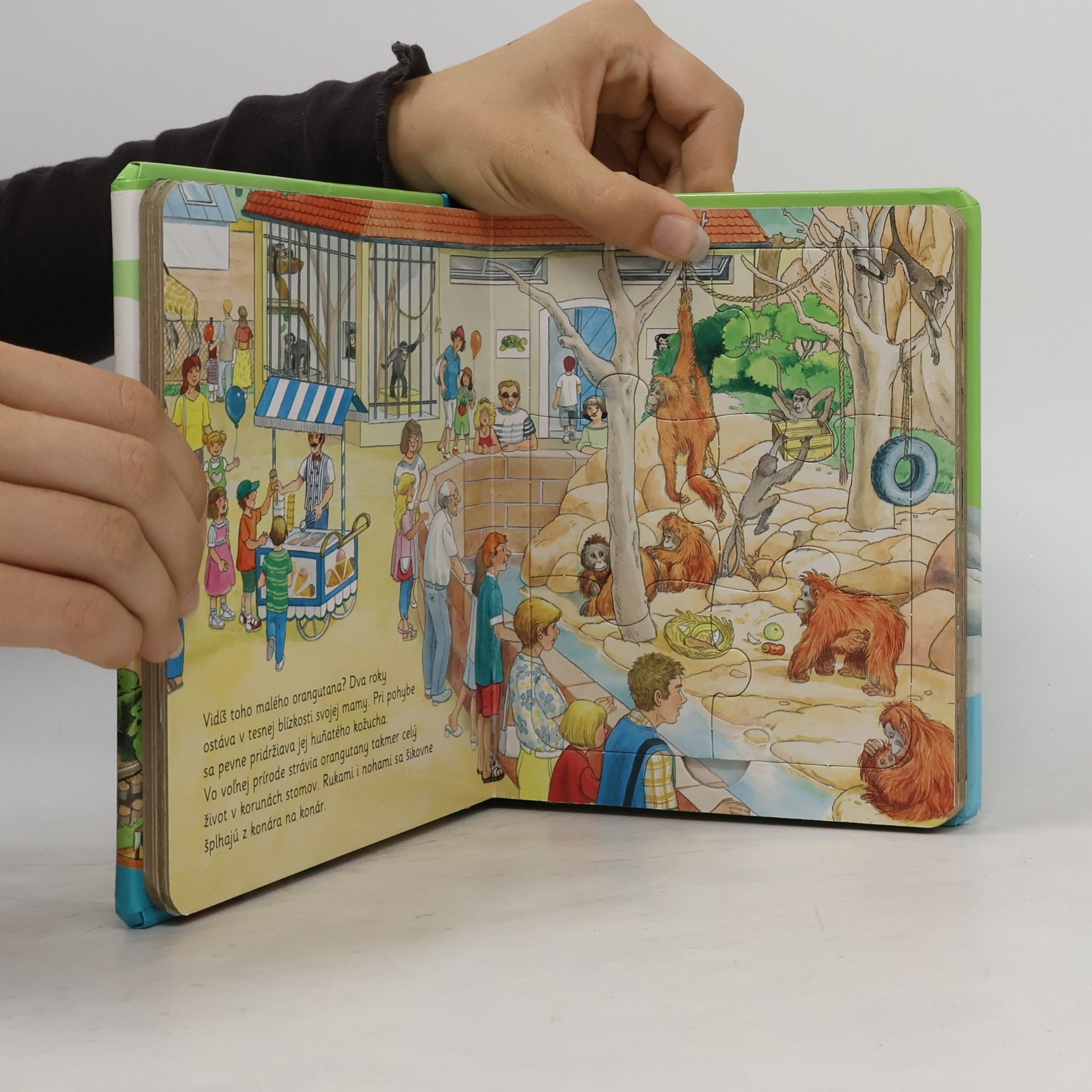 Autorenkollektiv V Zoo: Knižka s puzzle