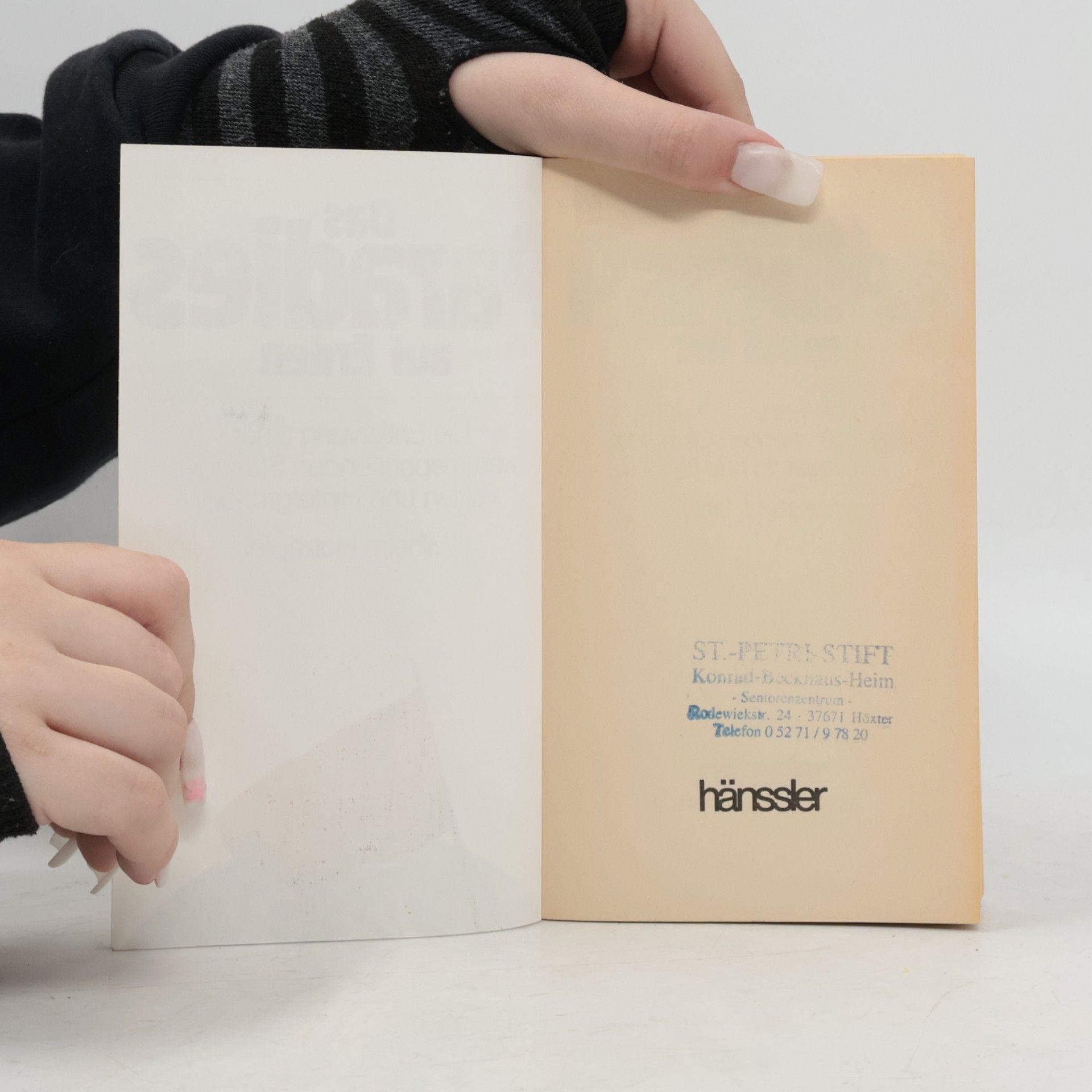 Wilhelm Holzapfel Edition C. Unterreihe T - Taschenbücher - 180: Das Paradies auf Erden