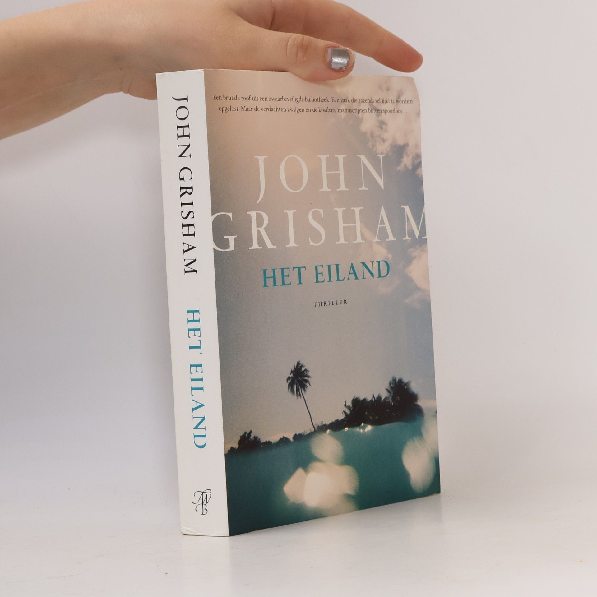 Fanneke Cnossen Het eiland
