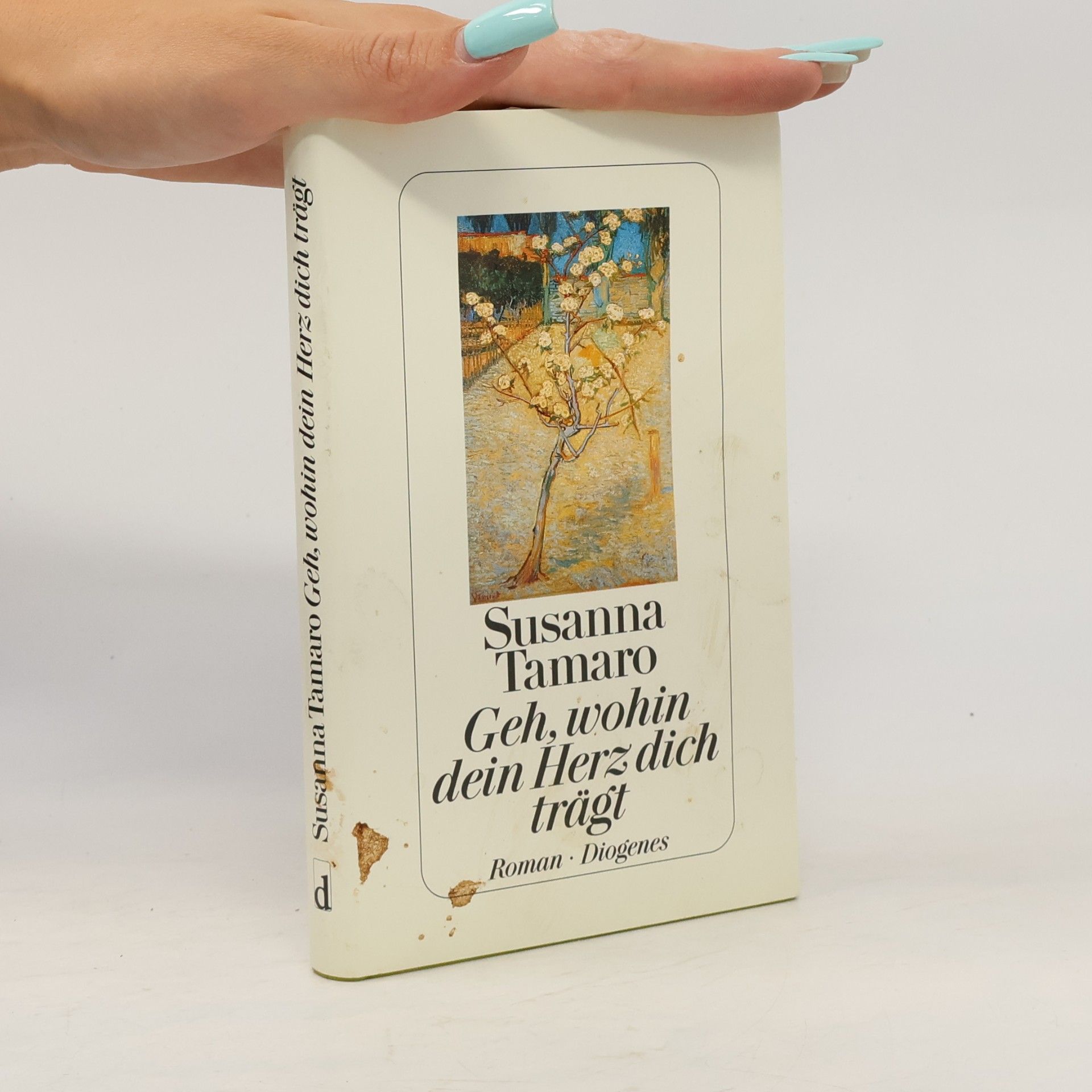 Susanna Tamaro Geh, wohin dein Herz dich trägt