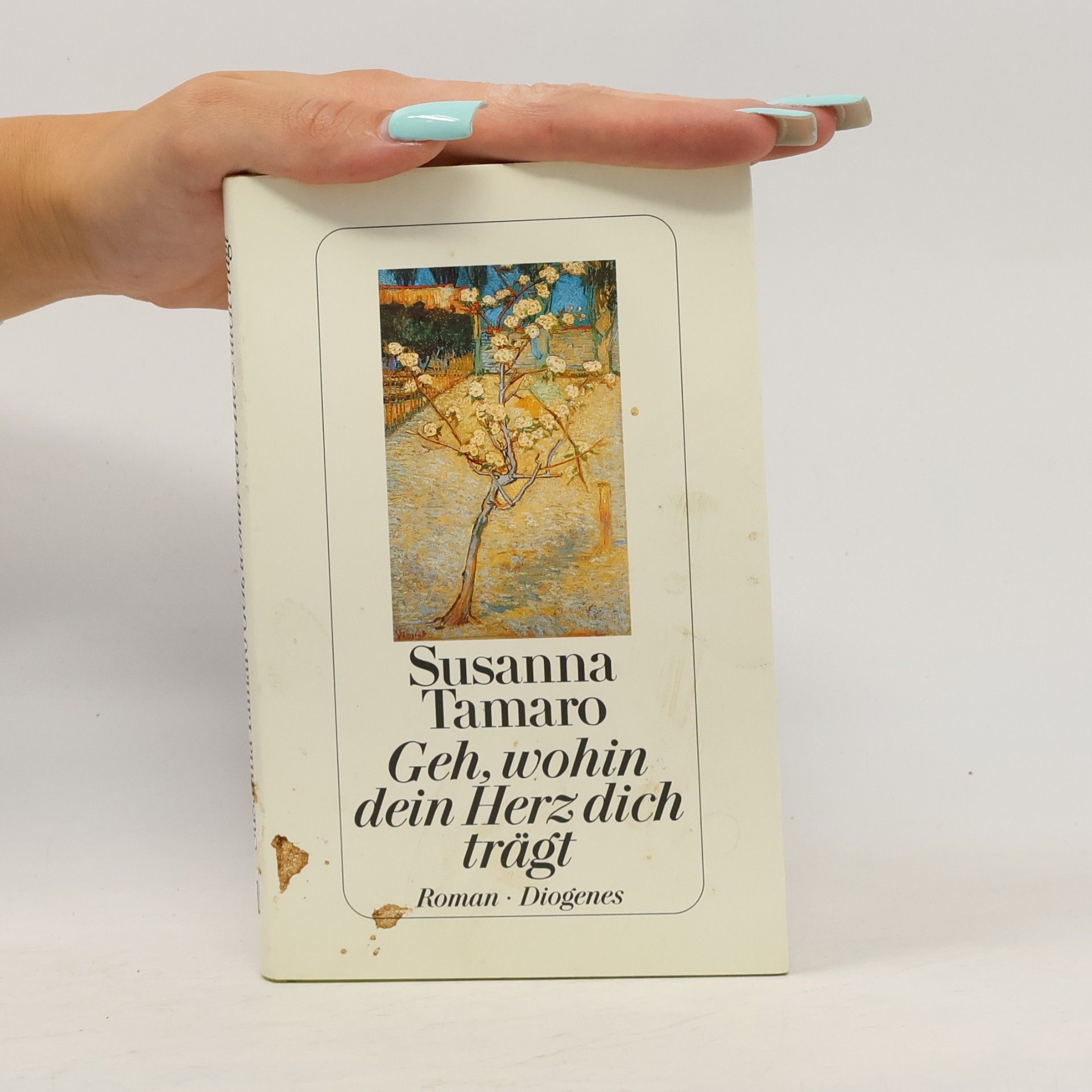 Susanna Tamaro Geh, wohin dein Herz dich trägt
