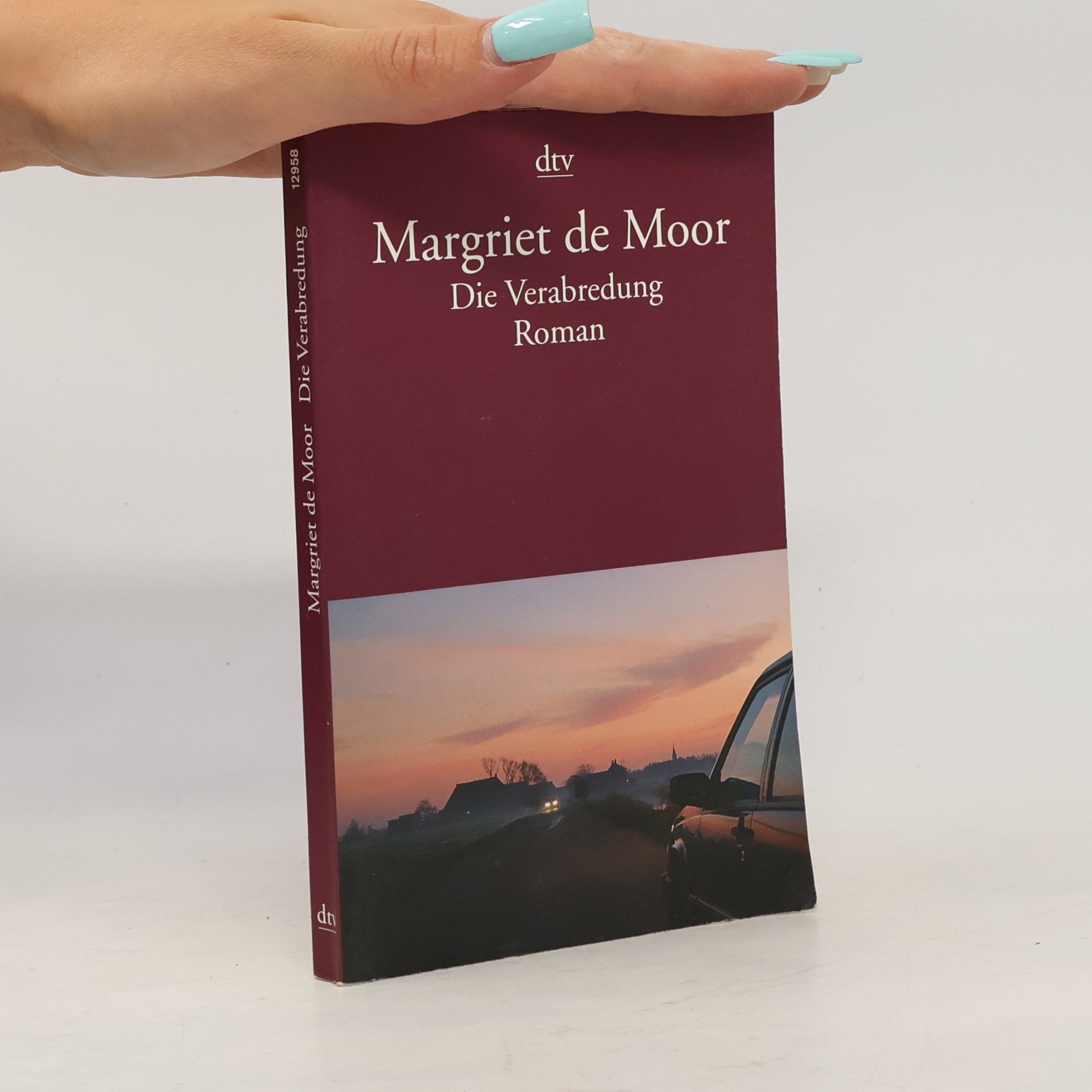 Margriet de Moor Die Verabredung