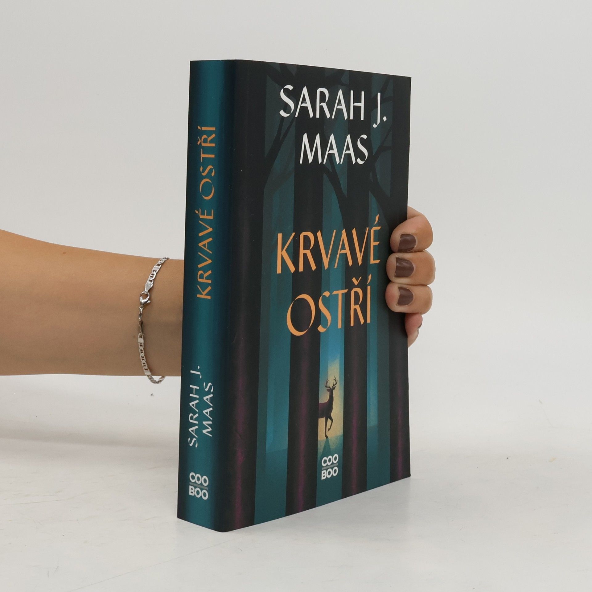 Sarah J. Maas Krvavé ostří