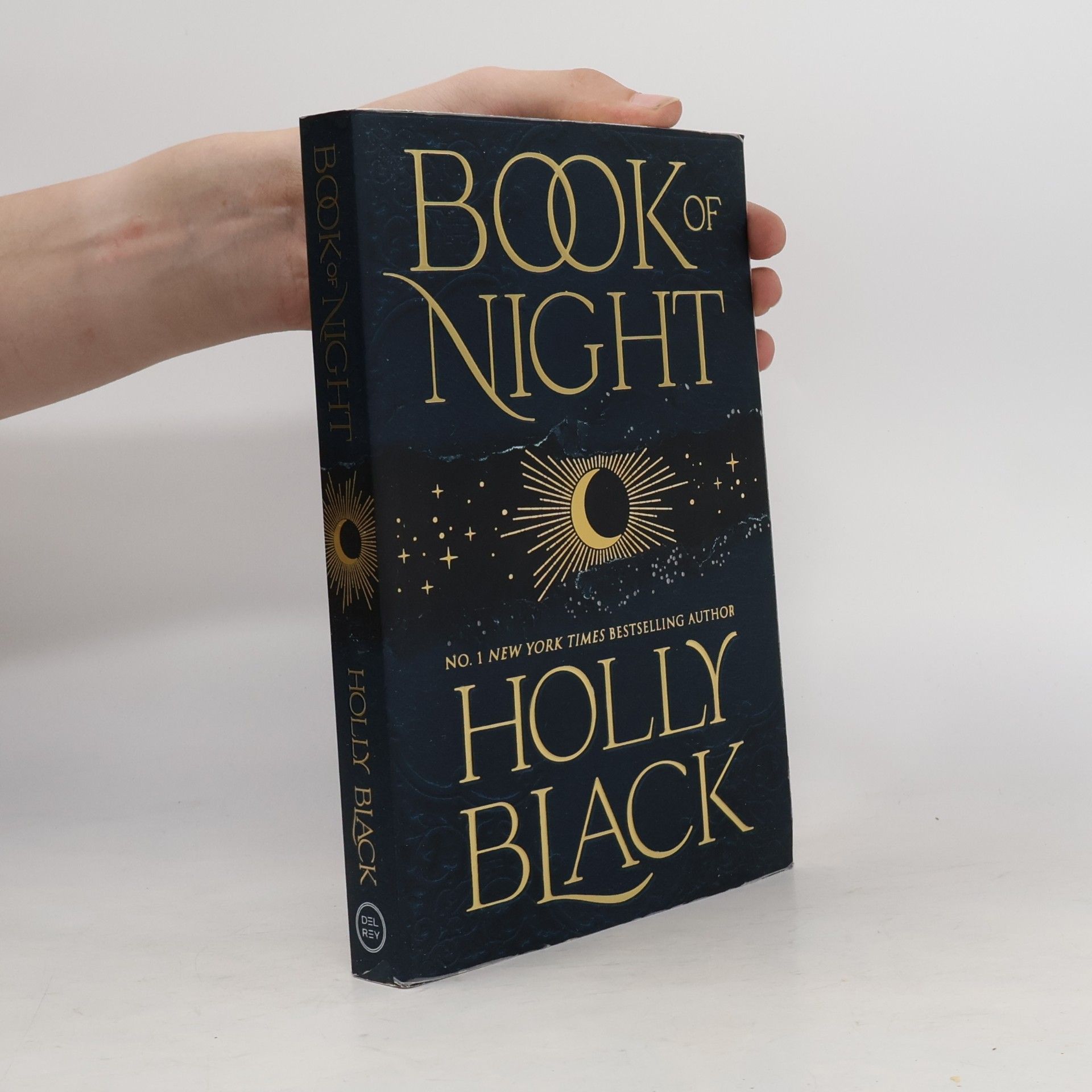 Holly Black Book of Night