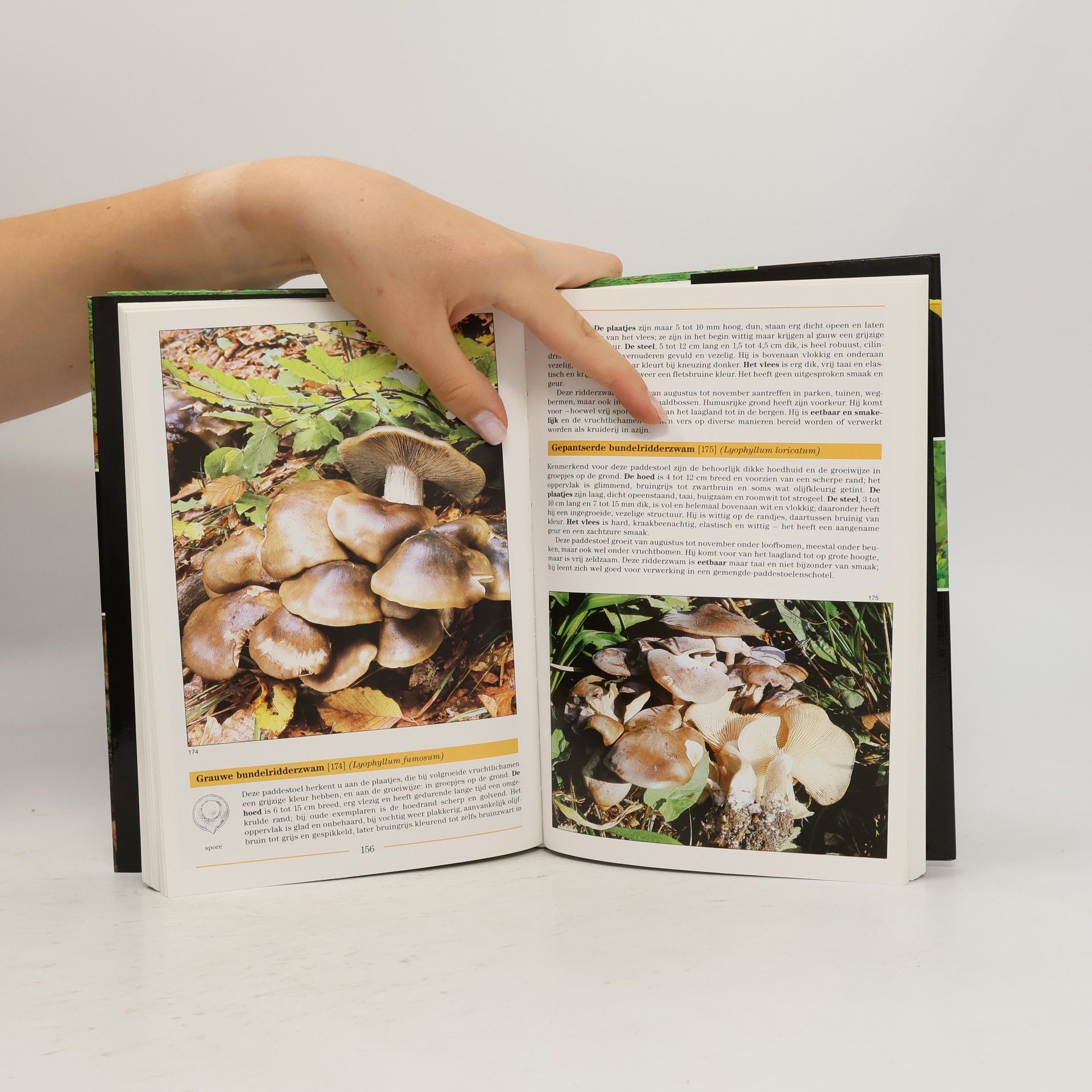 Ladislav Hagara Encyclopedie van paddestoelen