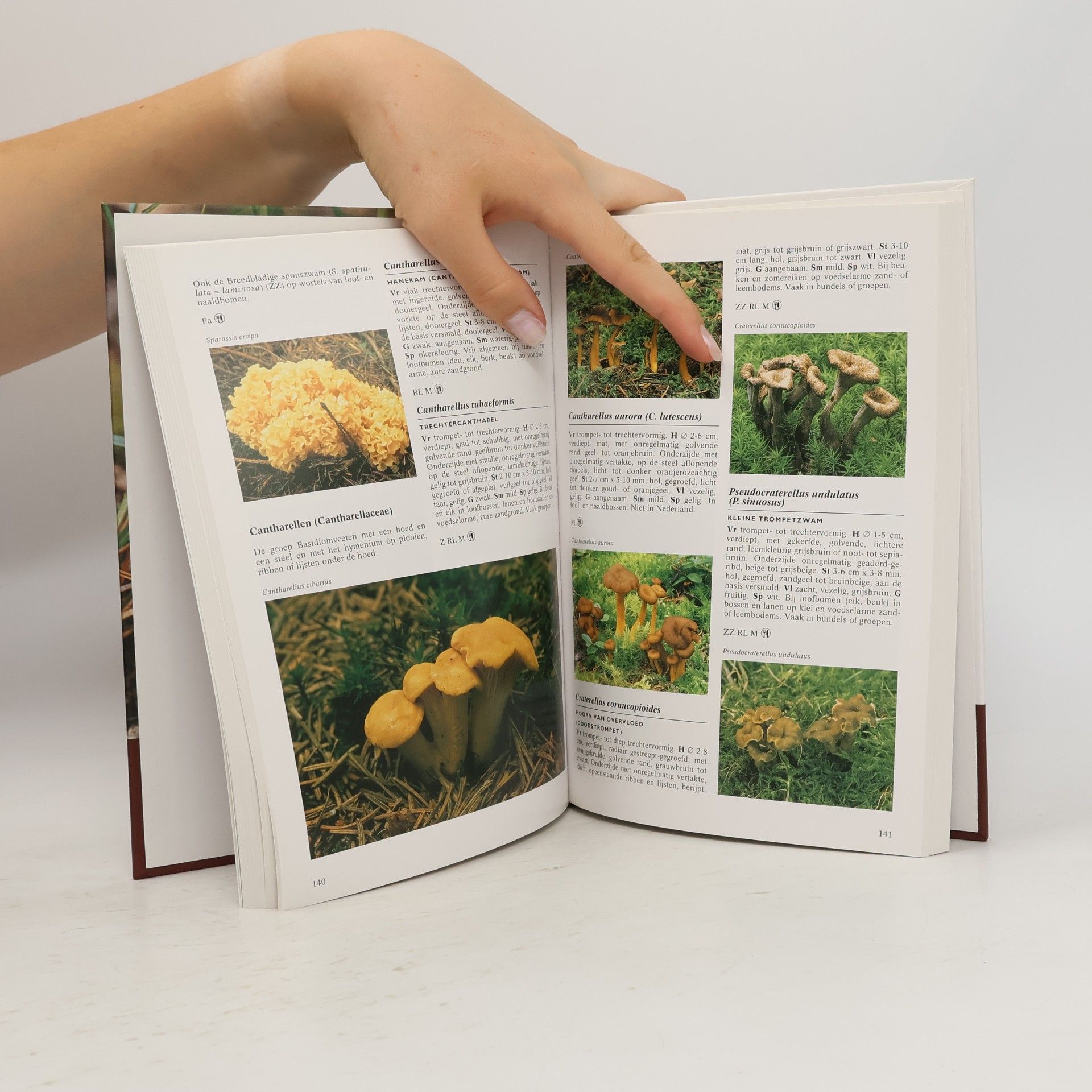 Gerrit J. Keizer Geillustreerde paddestoelen encyclopedie - Druk 1
