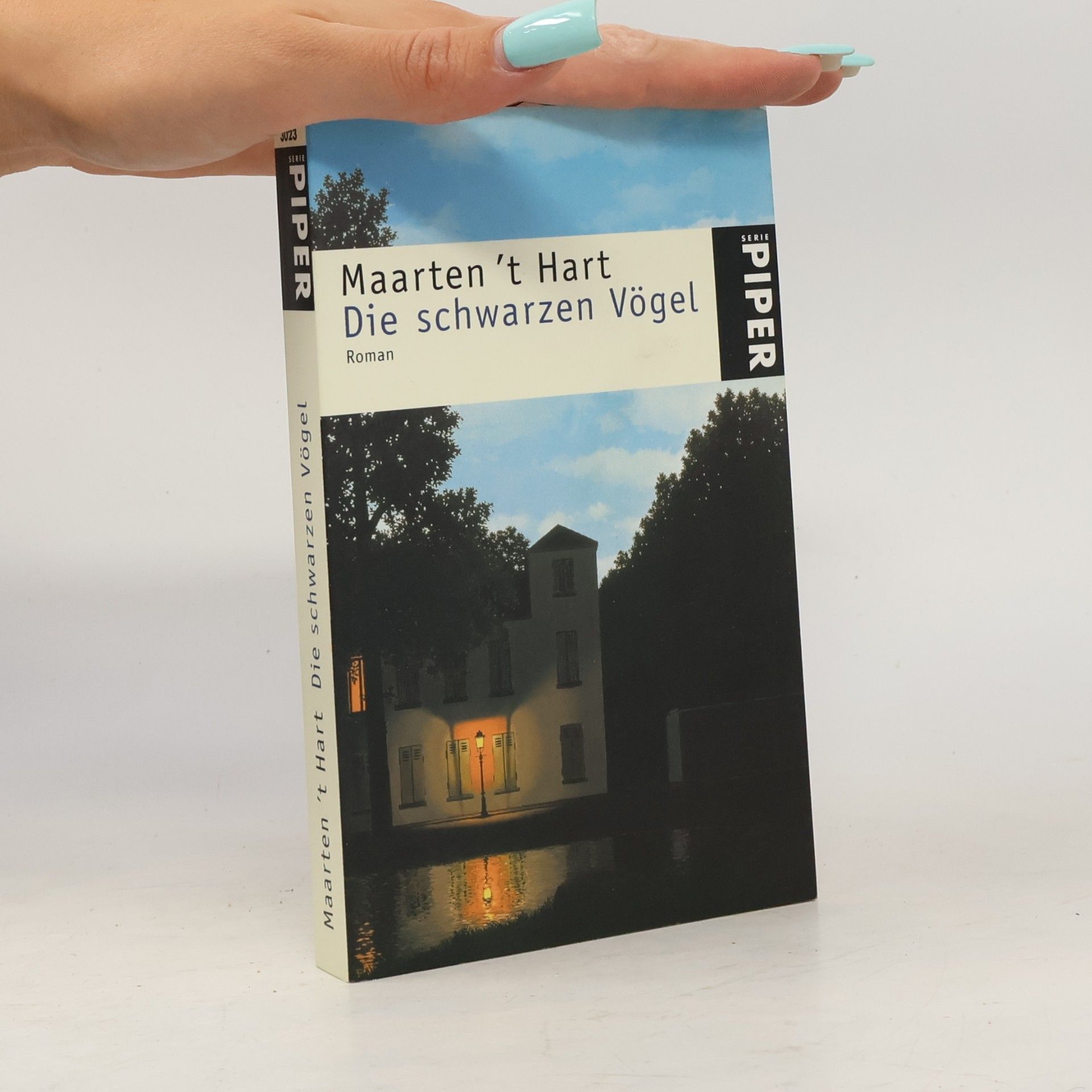 Maarten t. Hart Die schwarzen Vögel