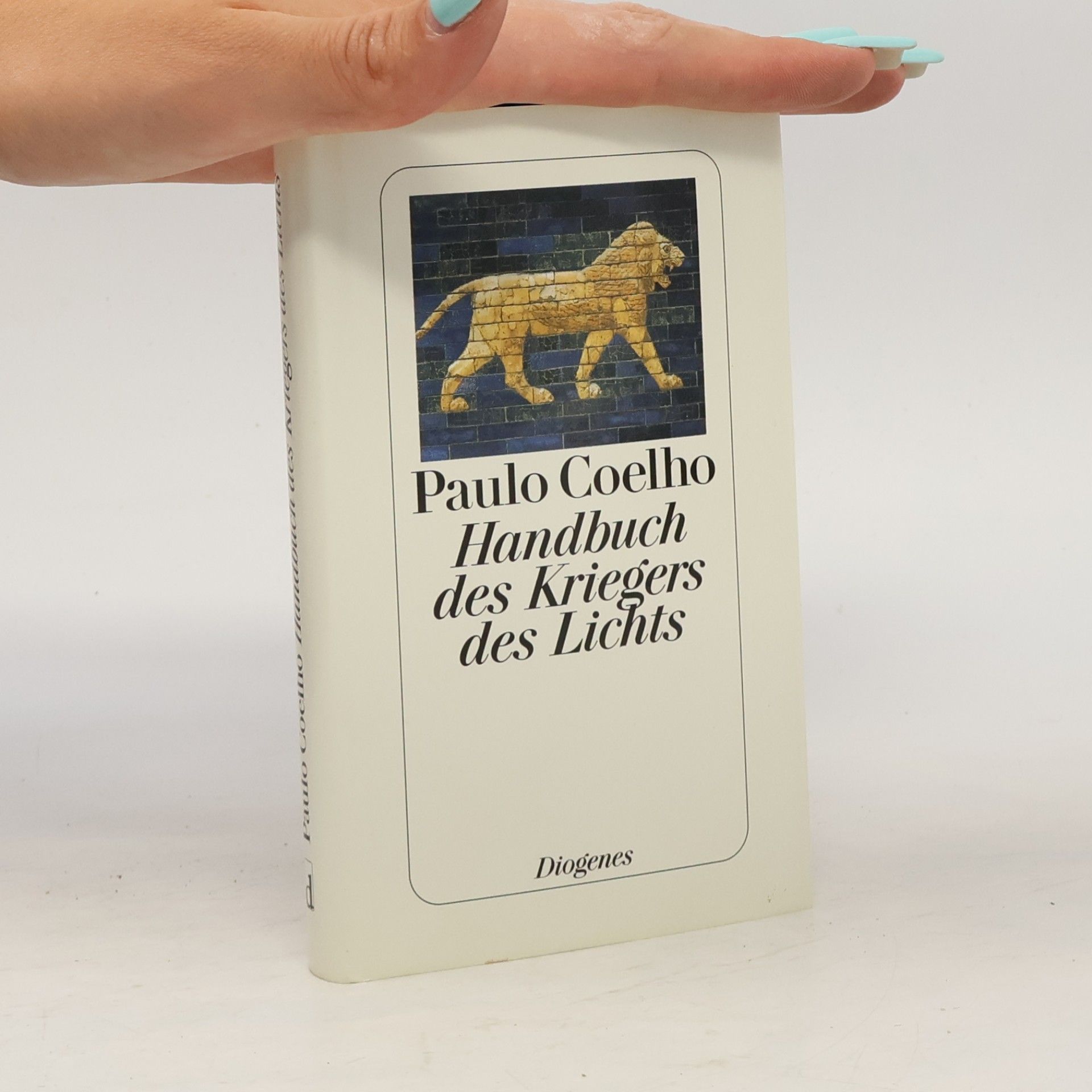 Paulo Coelho Handbuch des Kriegers des Lichts