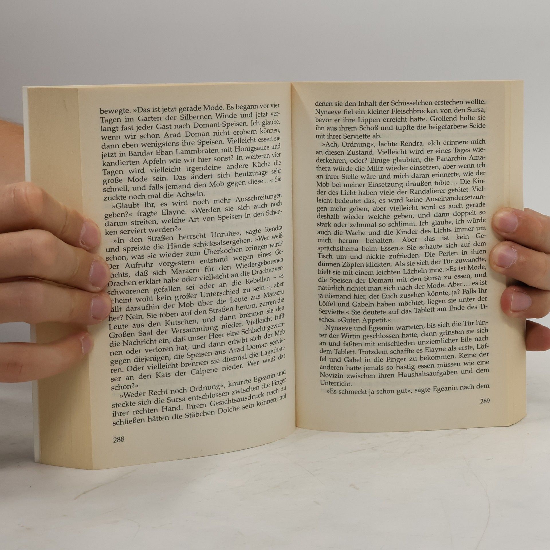 Robert Jordan Das Rad der Zeit. Der Sturm bricht los
