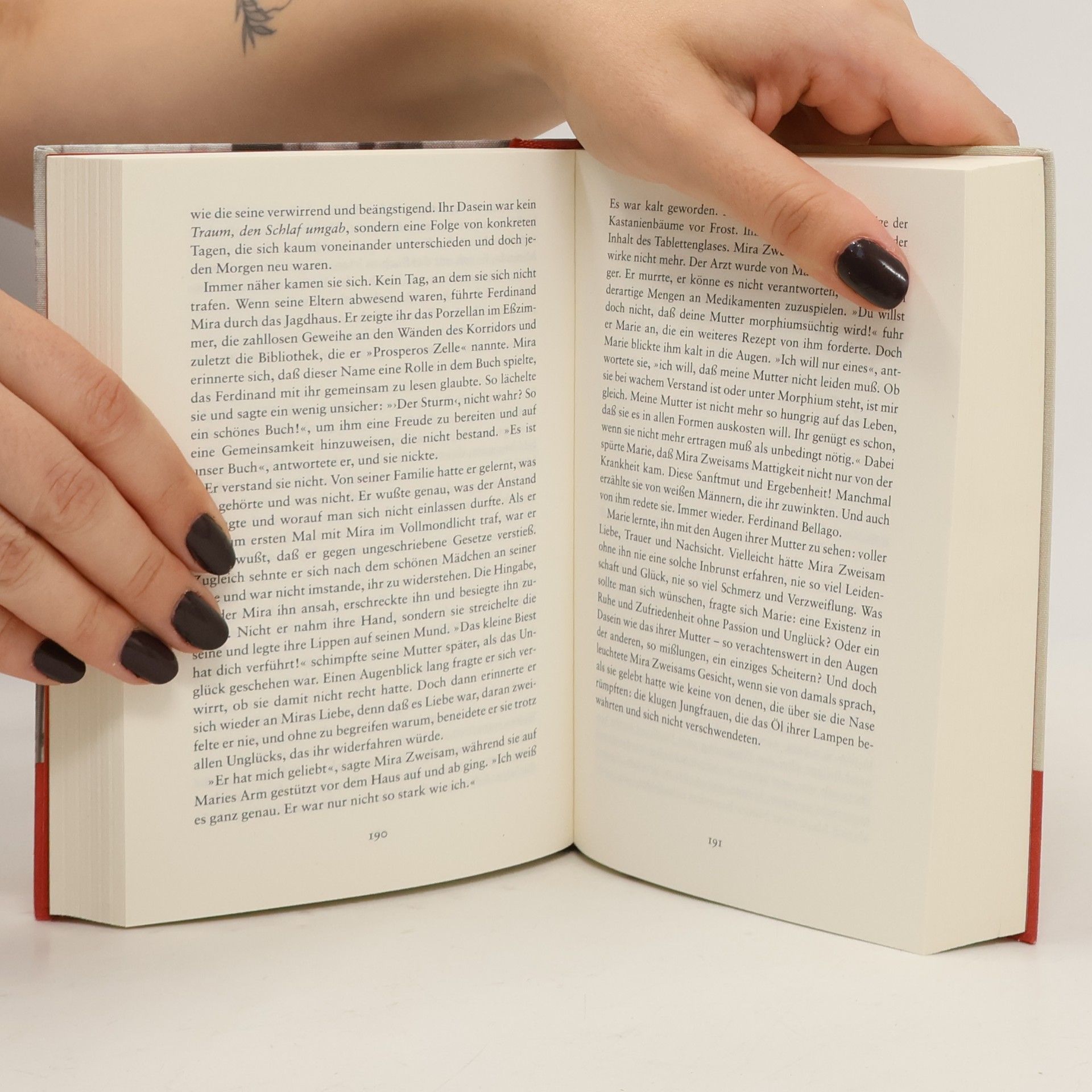 Rosemarie Marschner Das Bücherzimmer