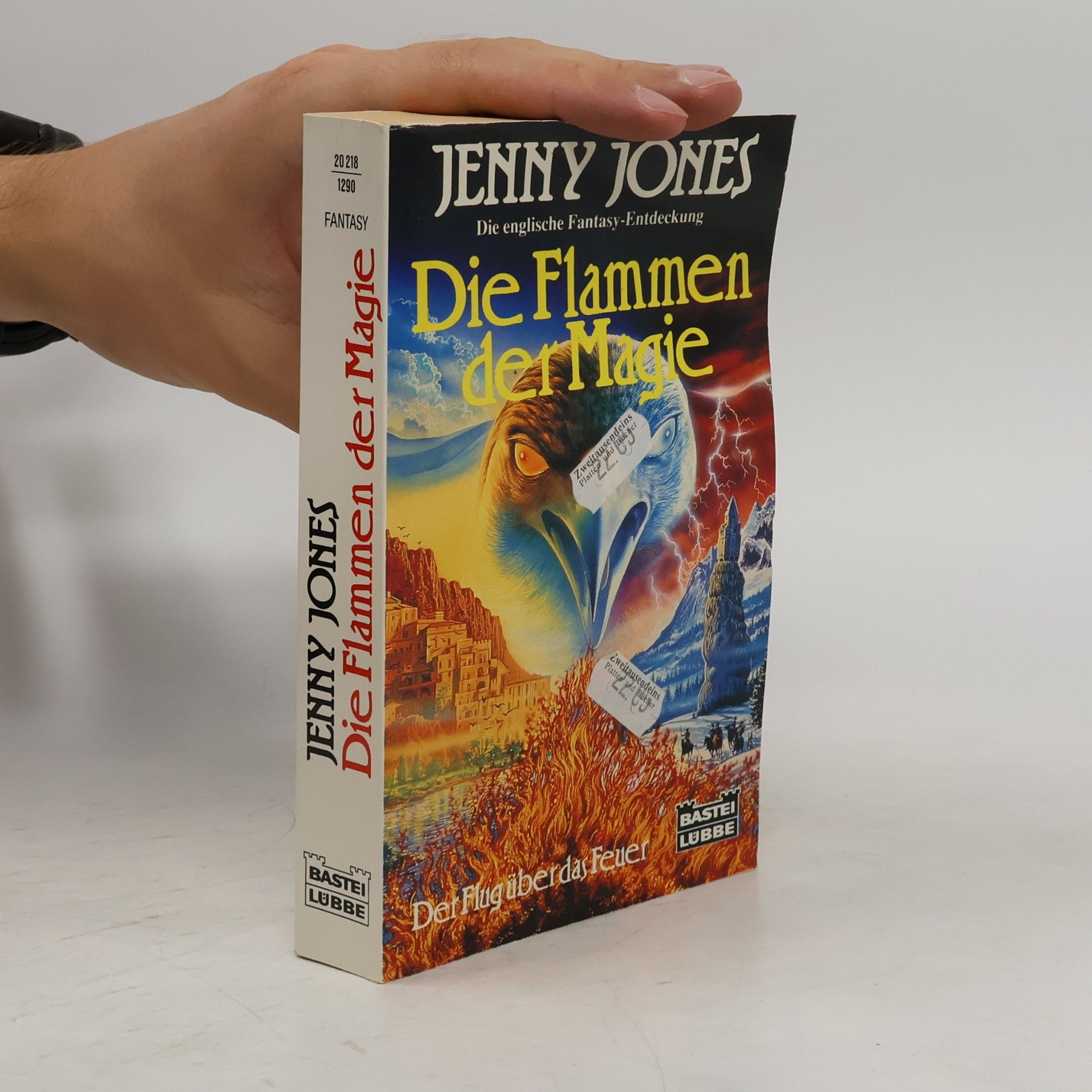 Jenny Jones Die Flammen der Magie. Der Flug über das Feuer. Fantasy-Roman