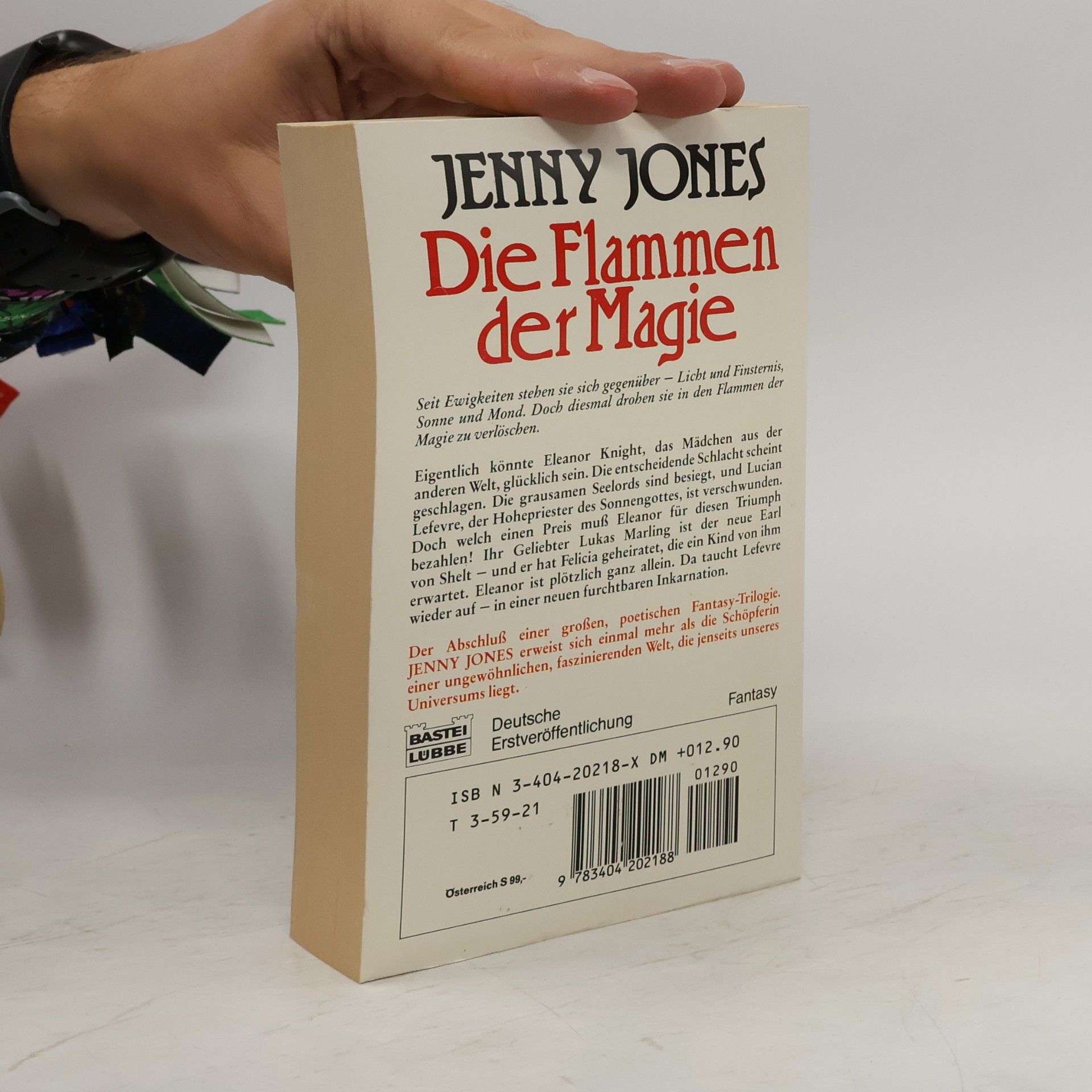 Jenny Jones Die Flammen der Magie. Der Flug über das Feuer. Fantasy-Roman