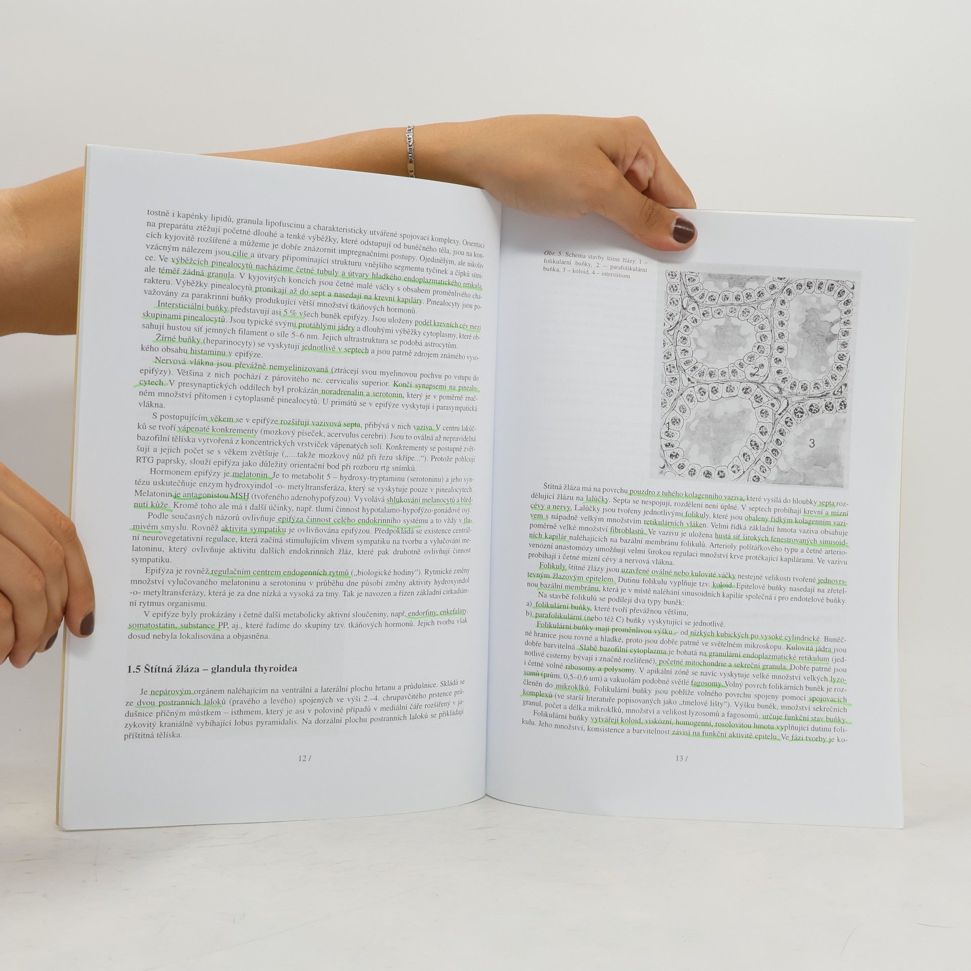 Petr Hach Histologie II