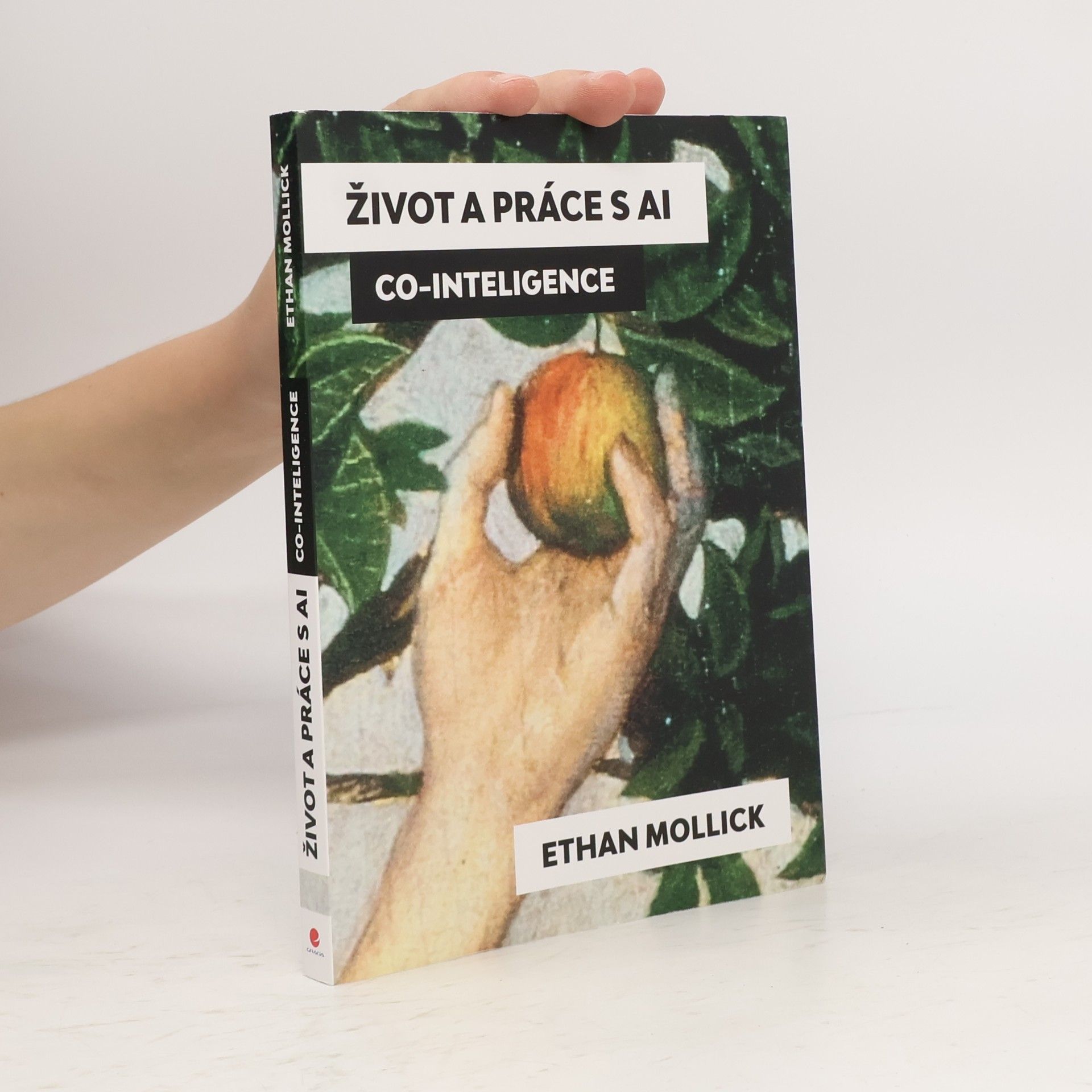 Život a práce s AI: Co-Intelligence