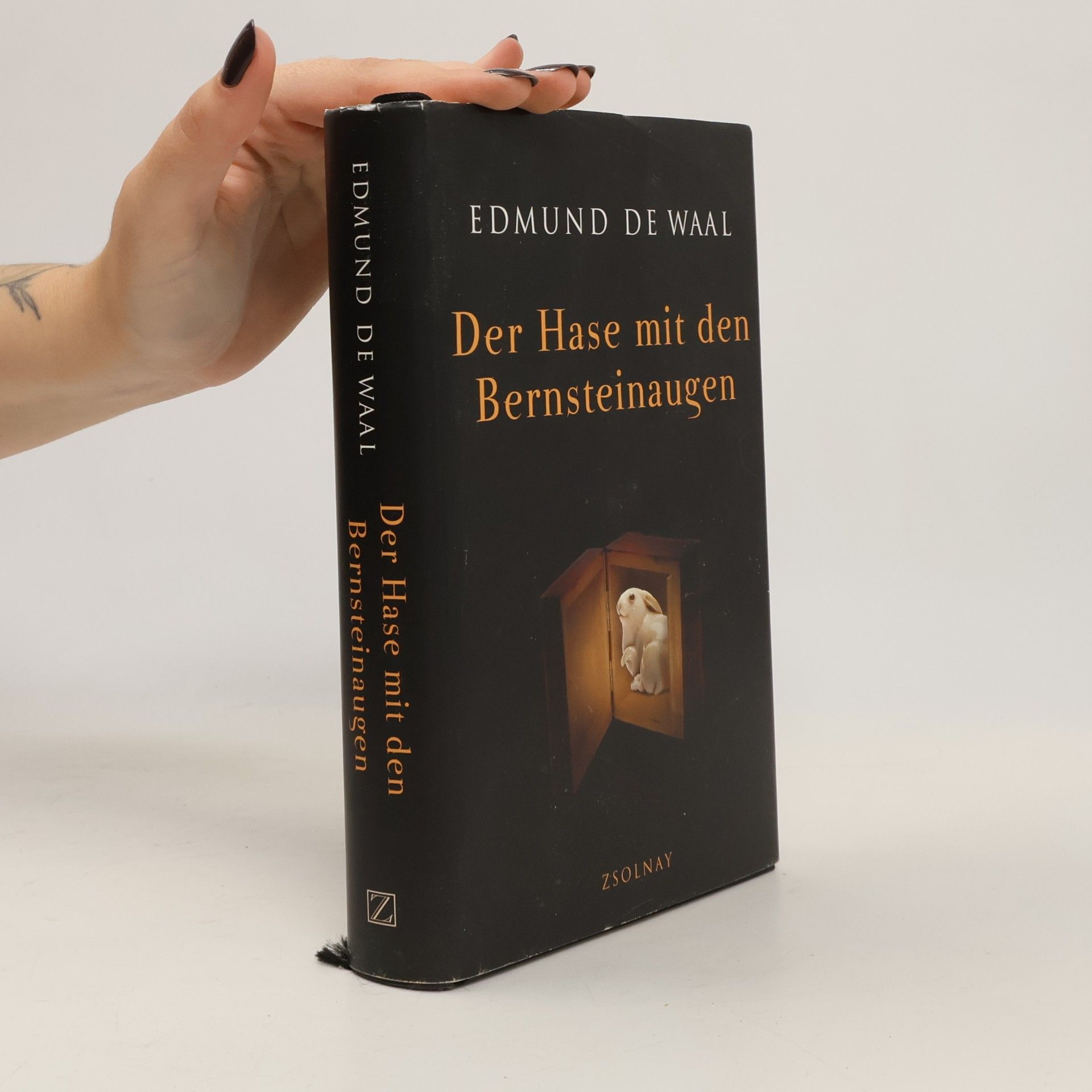 Edmund De Waal Der Hase mit den Bernteinaugen