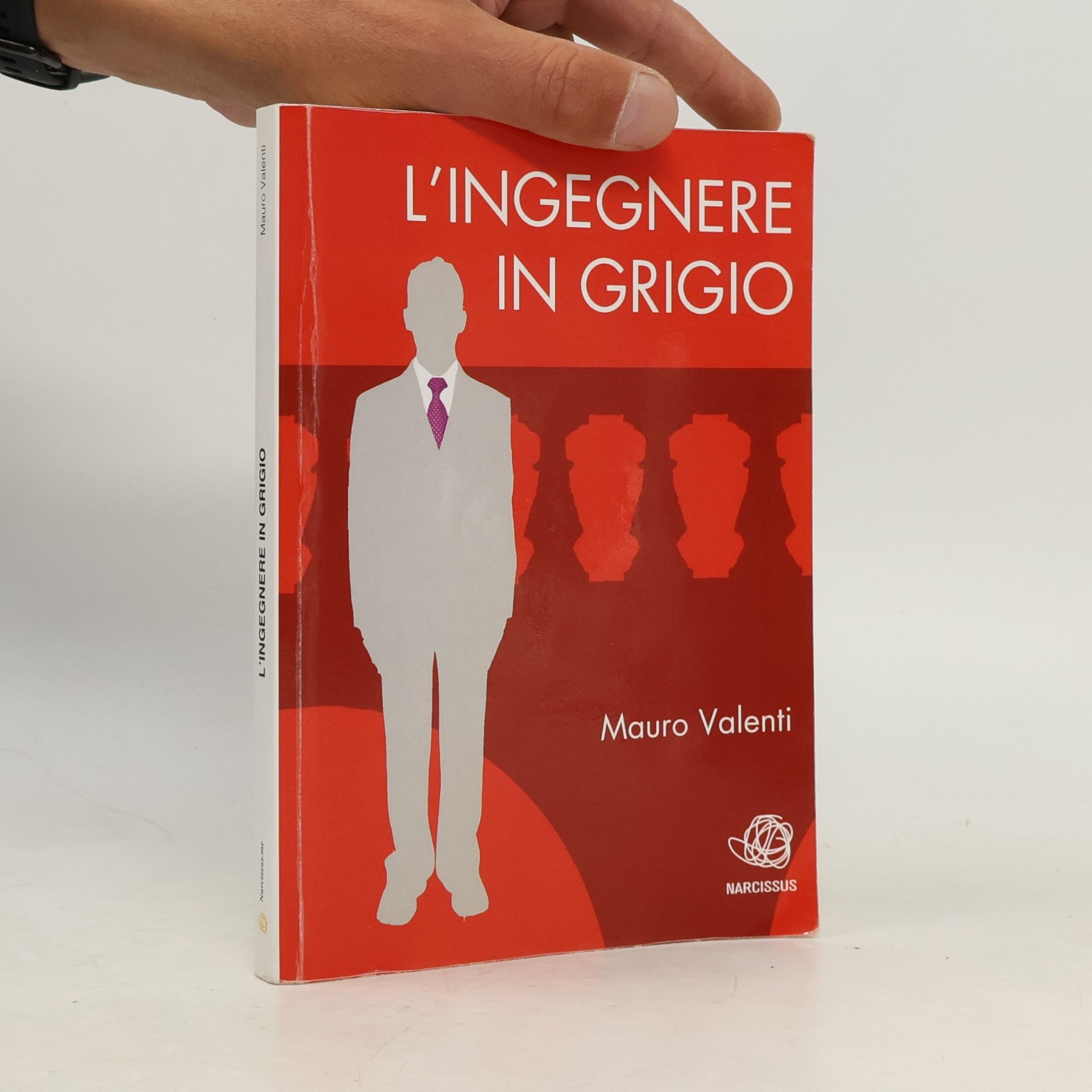 L'Ingegnere in Grigio