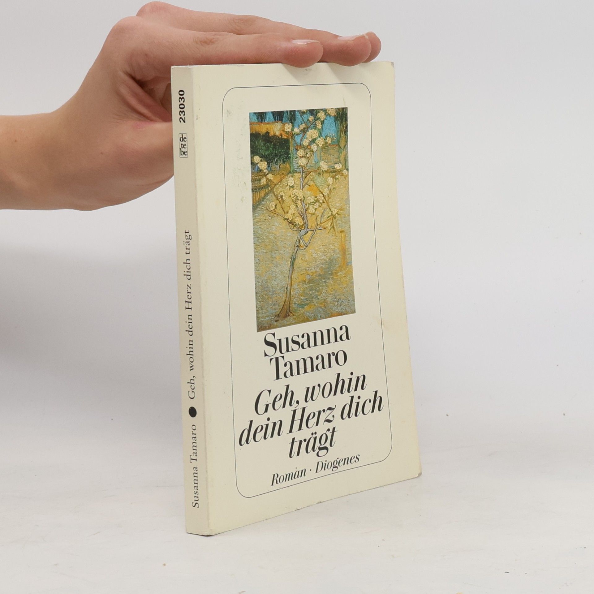 Susanna Tamaro Geh, wohin dein Herz dich trägt