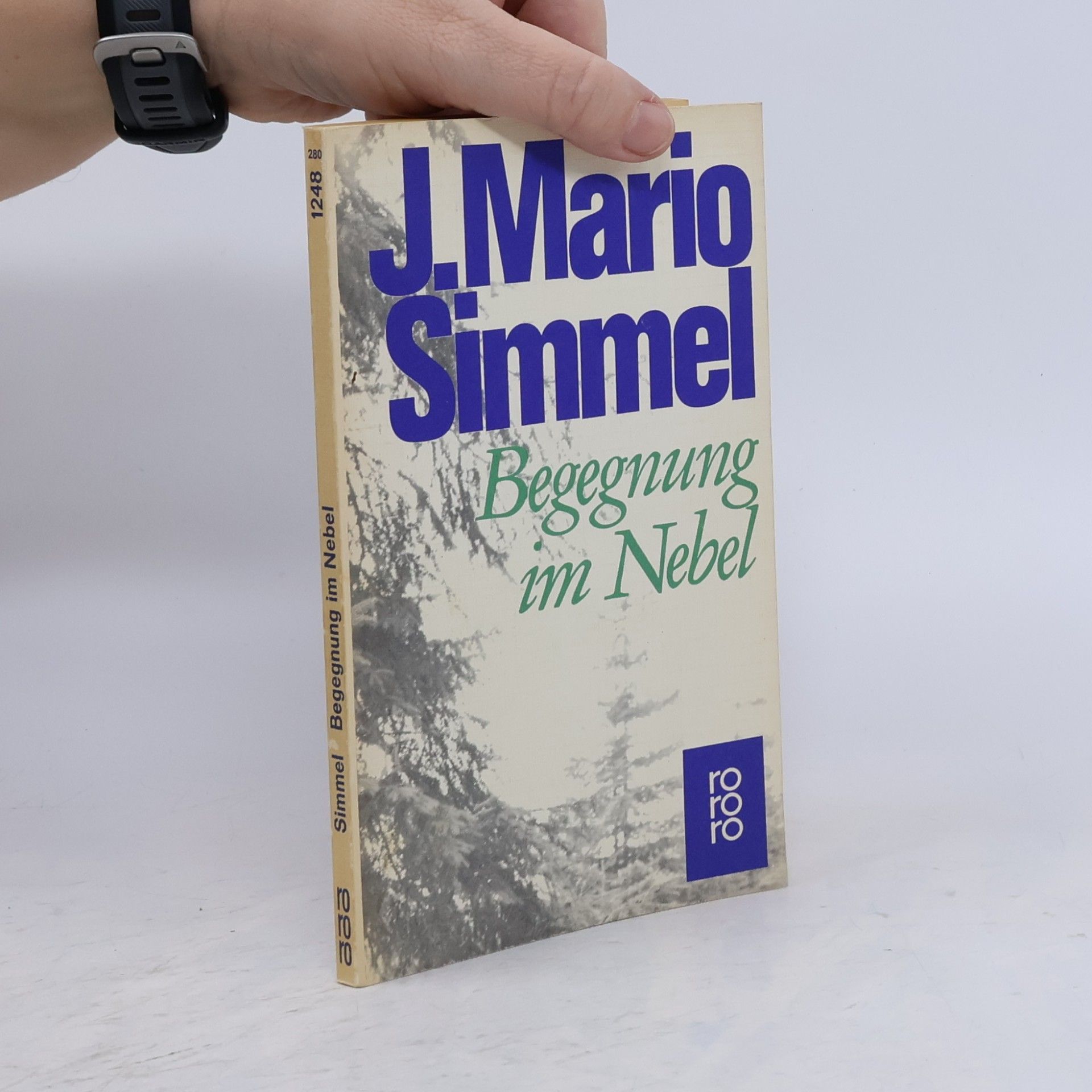 Johannes Mario Simmel Begegnung im Nebel