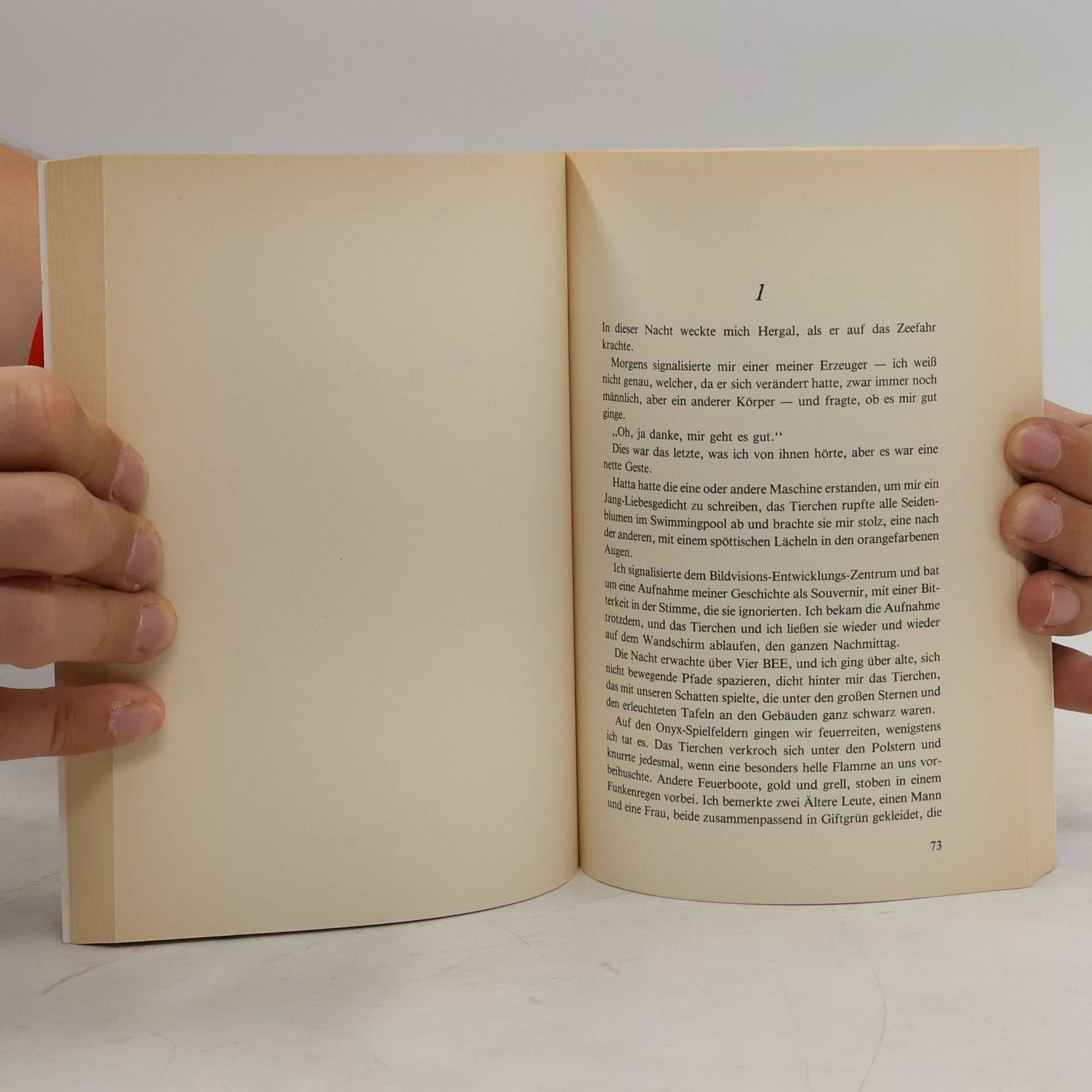 Tanith Lee Beiss nicht in die Sonne.