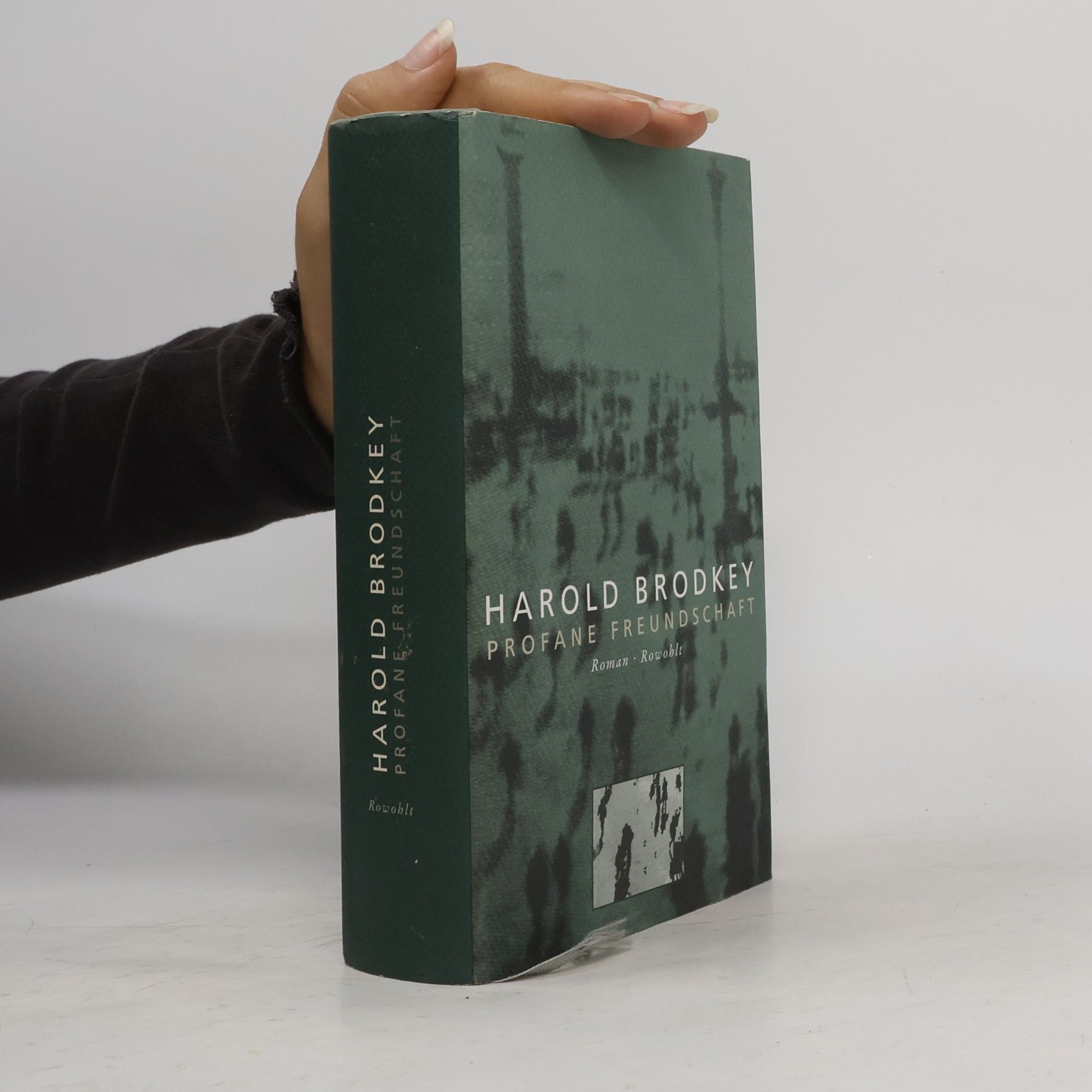 Harold Brodkey Profane Freundschaft