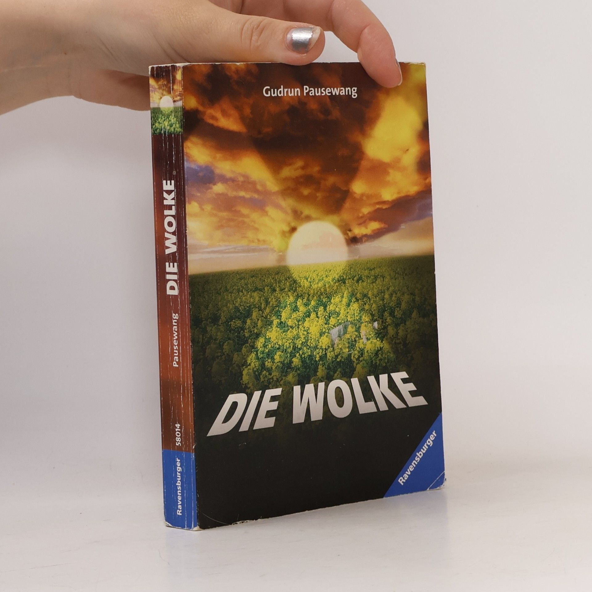 Gudrun Pausewang Die Wolke