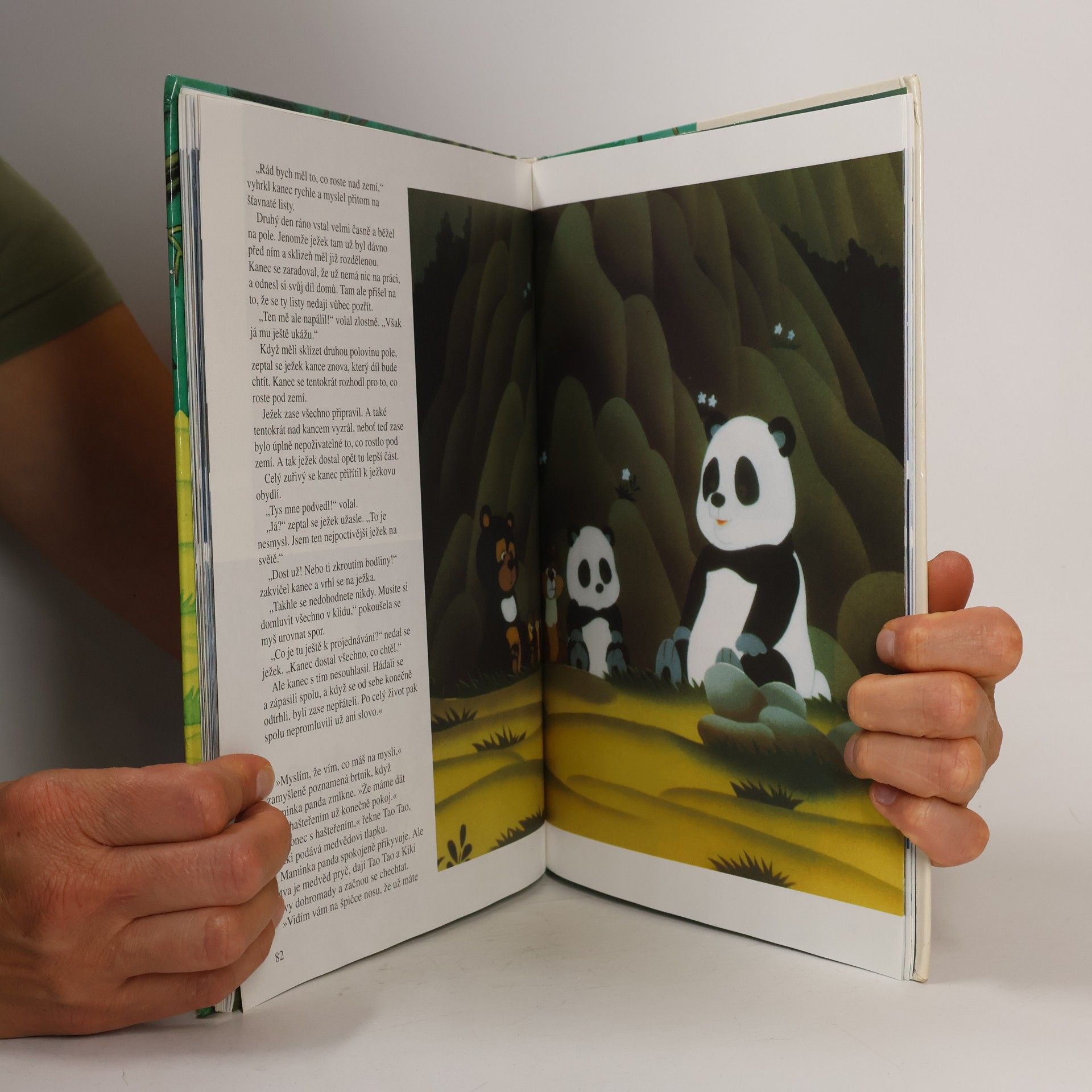 kolektiv Tao Tao. Medvídek panda
